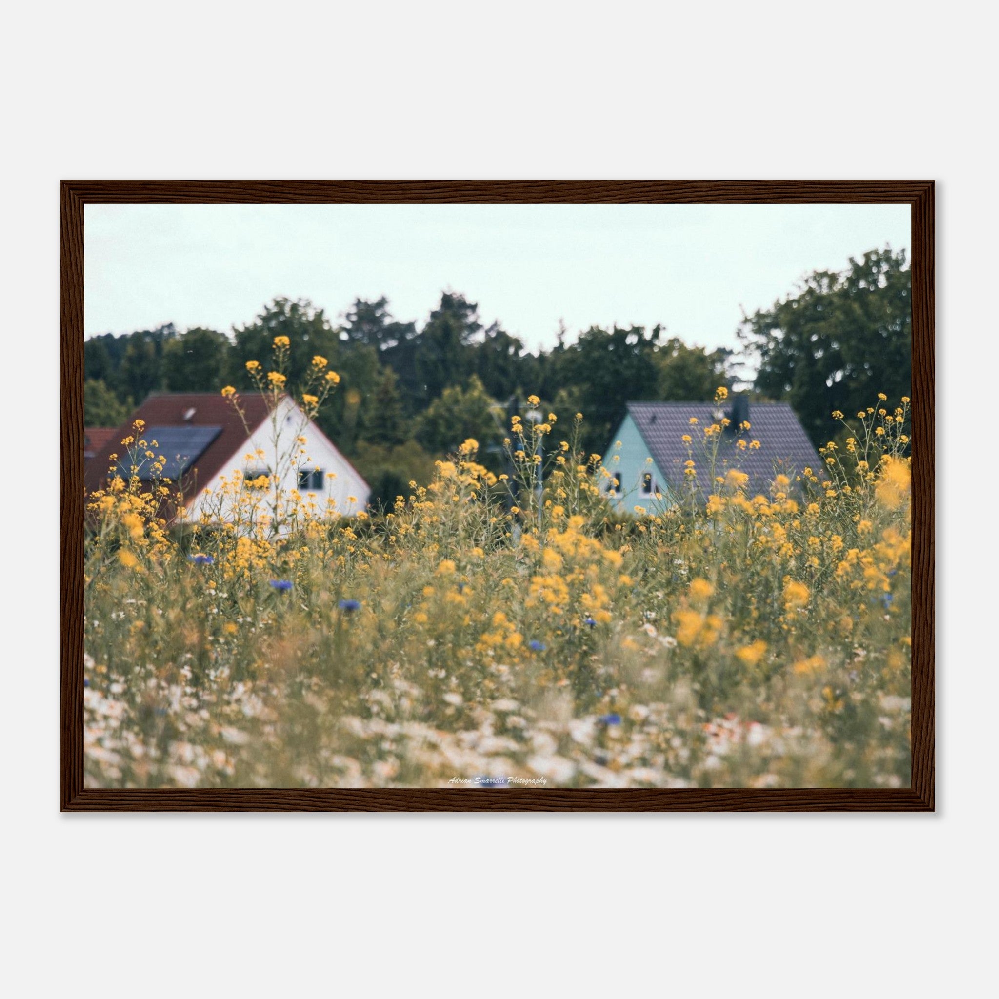 00271170-f660-4416-aab5-04c142162eb6