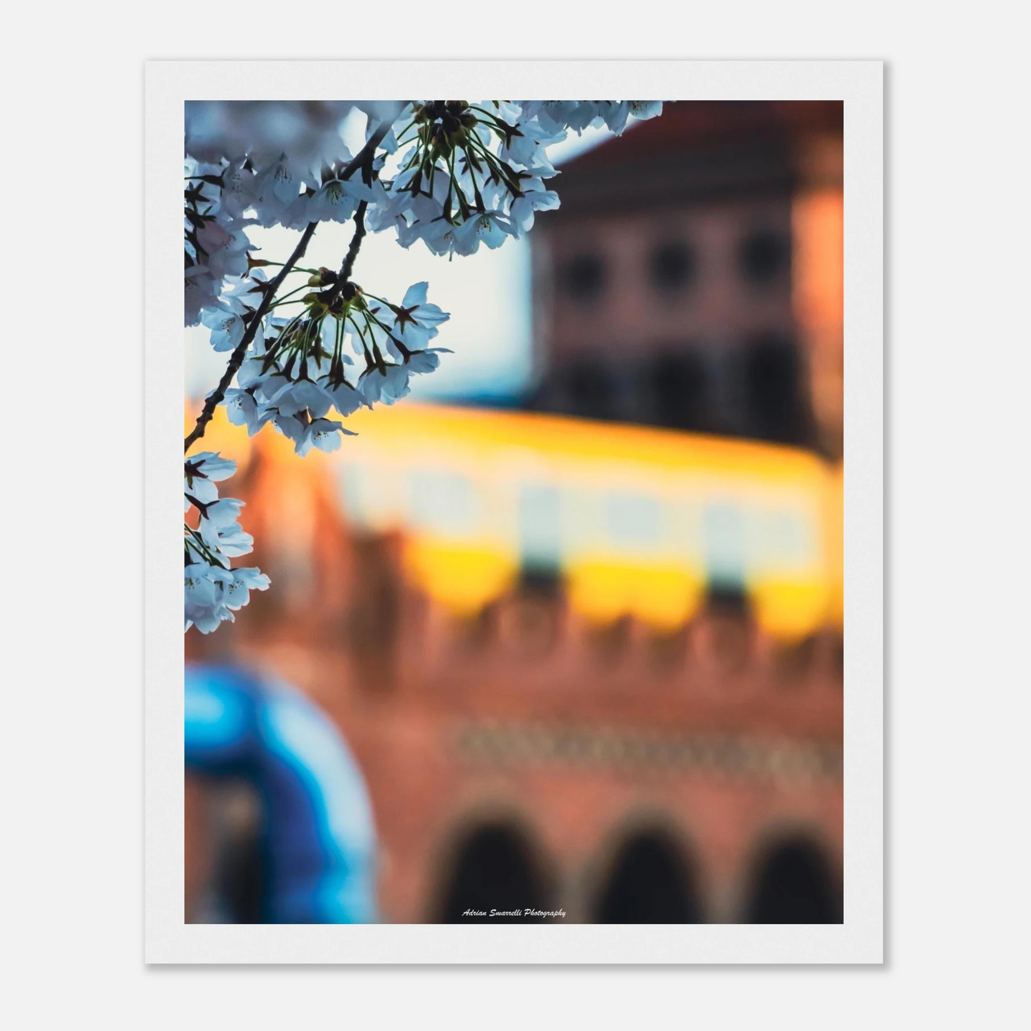 014f1d04-084b-495d-aee2-fa2da55d8581