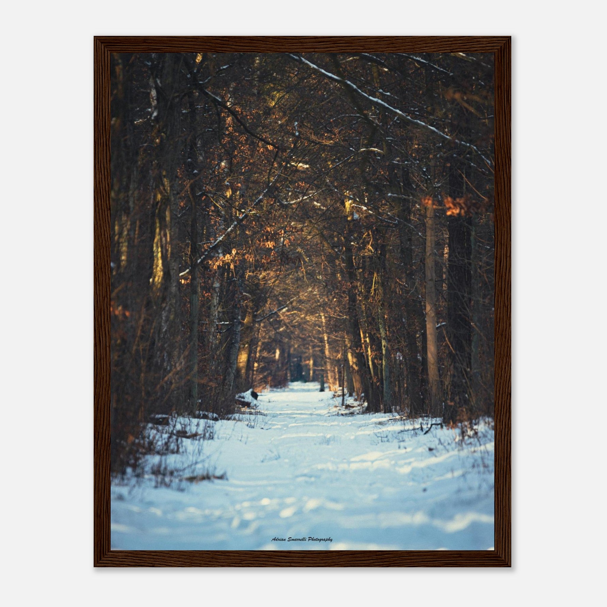 033fd8c9-b489-4699-b1b2-16979098f64c