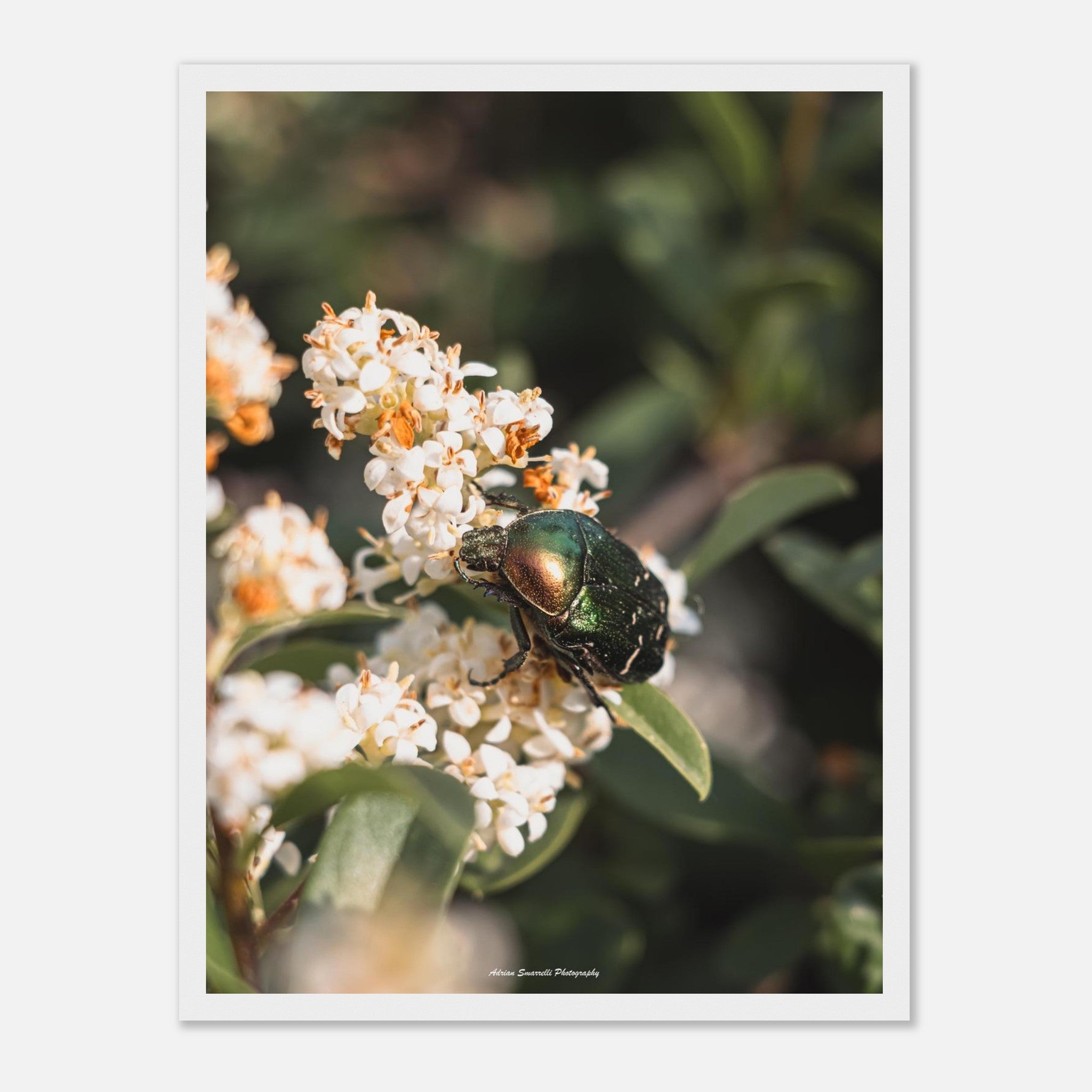 037bca5f-1960-42f0-b6d5-d8d02b8ef9b7