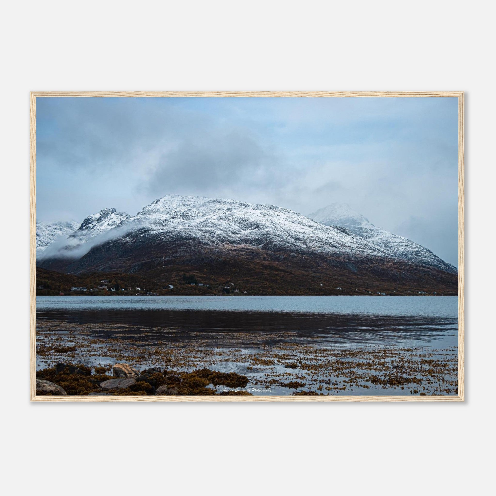 04c8d3c3-9f5a-42db-8b1e-f0a6984caa25