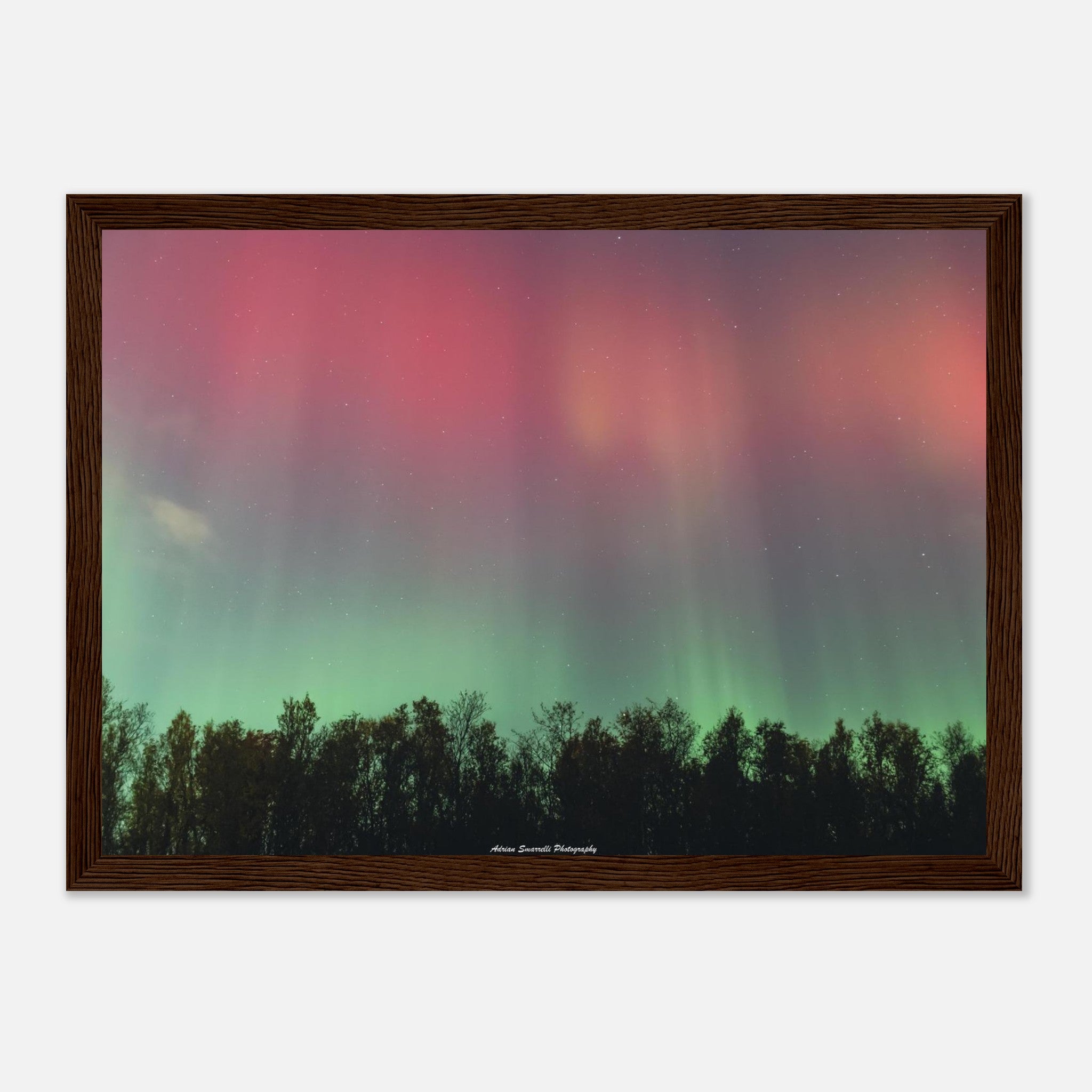 05ee2800-ba6d-4182-942f-f4e7dcae0eb0