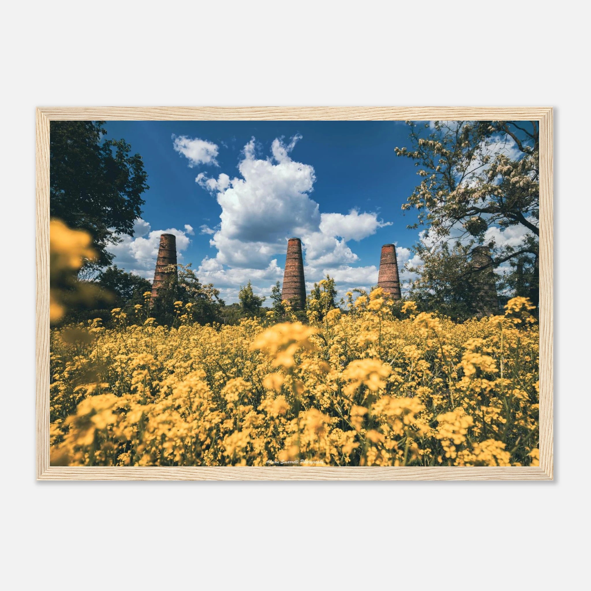 0602e0dc-225e-455b-90fe-d7bdb606d983