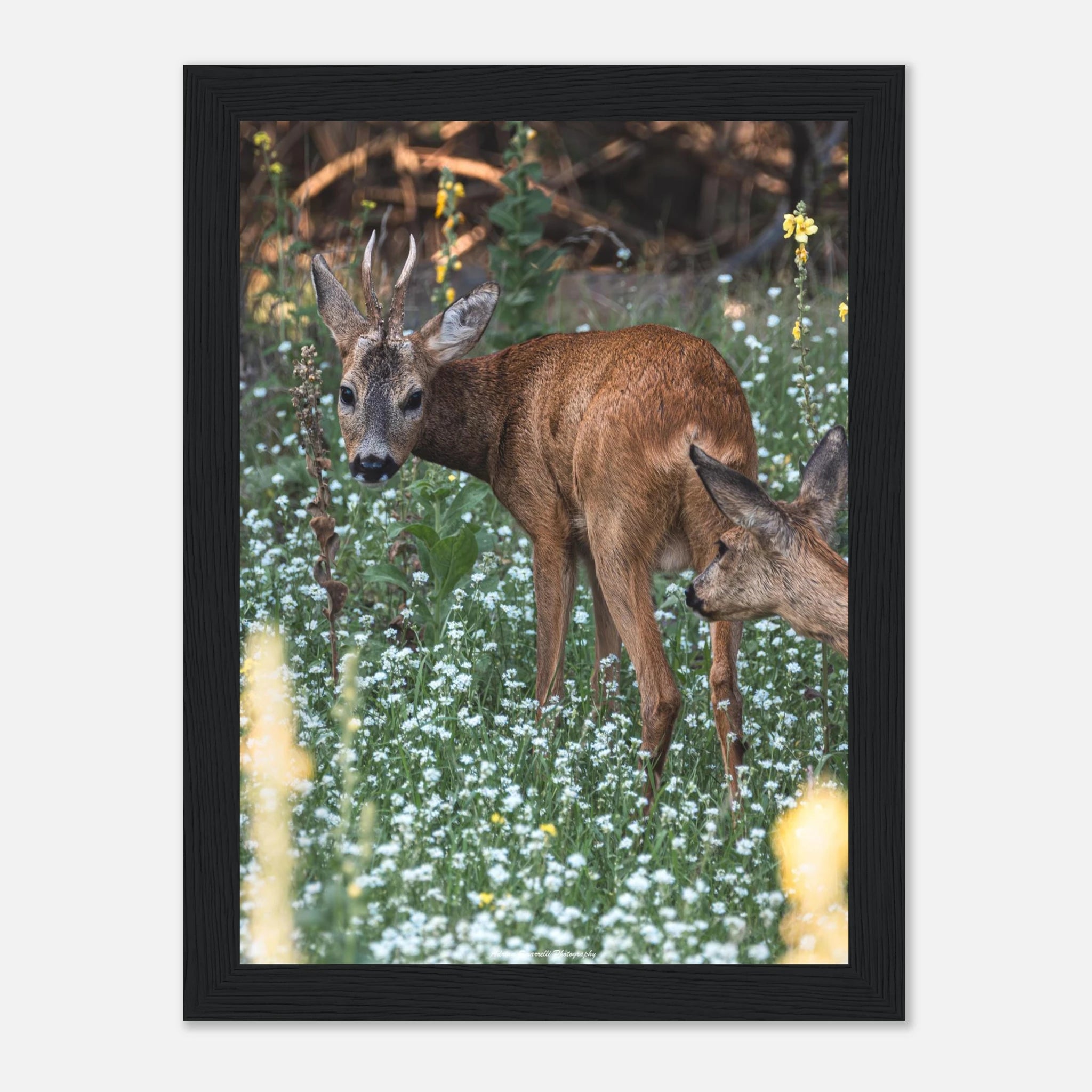 080523e2-271d-4f26-846e-19b06134178a