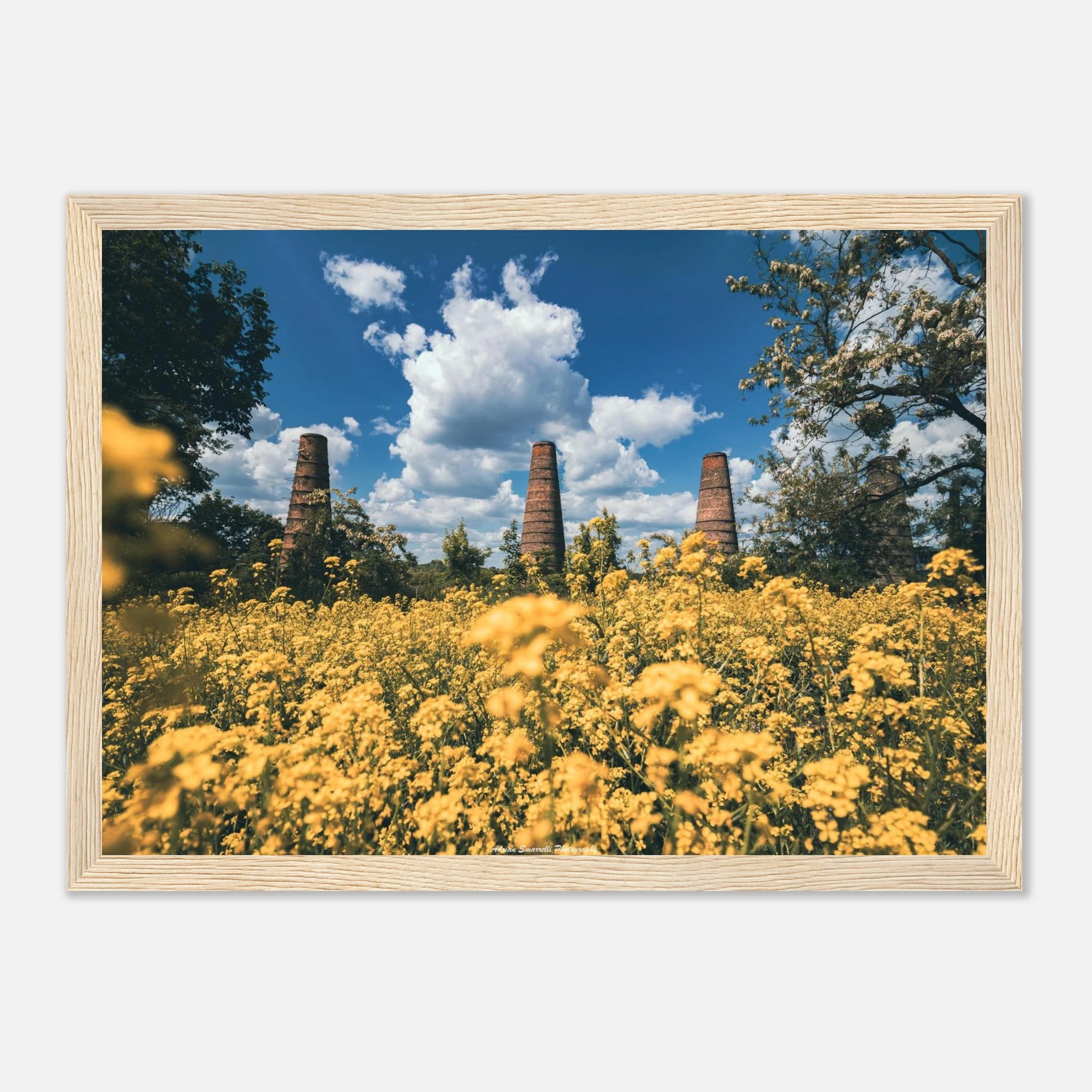 099d84ac-f5f8-426c-82cb-828aadf8b052