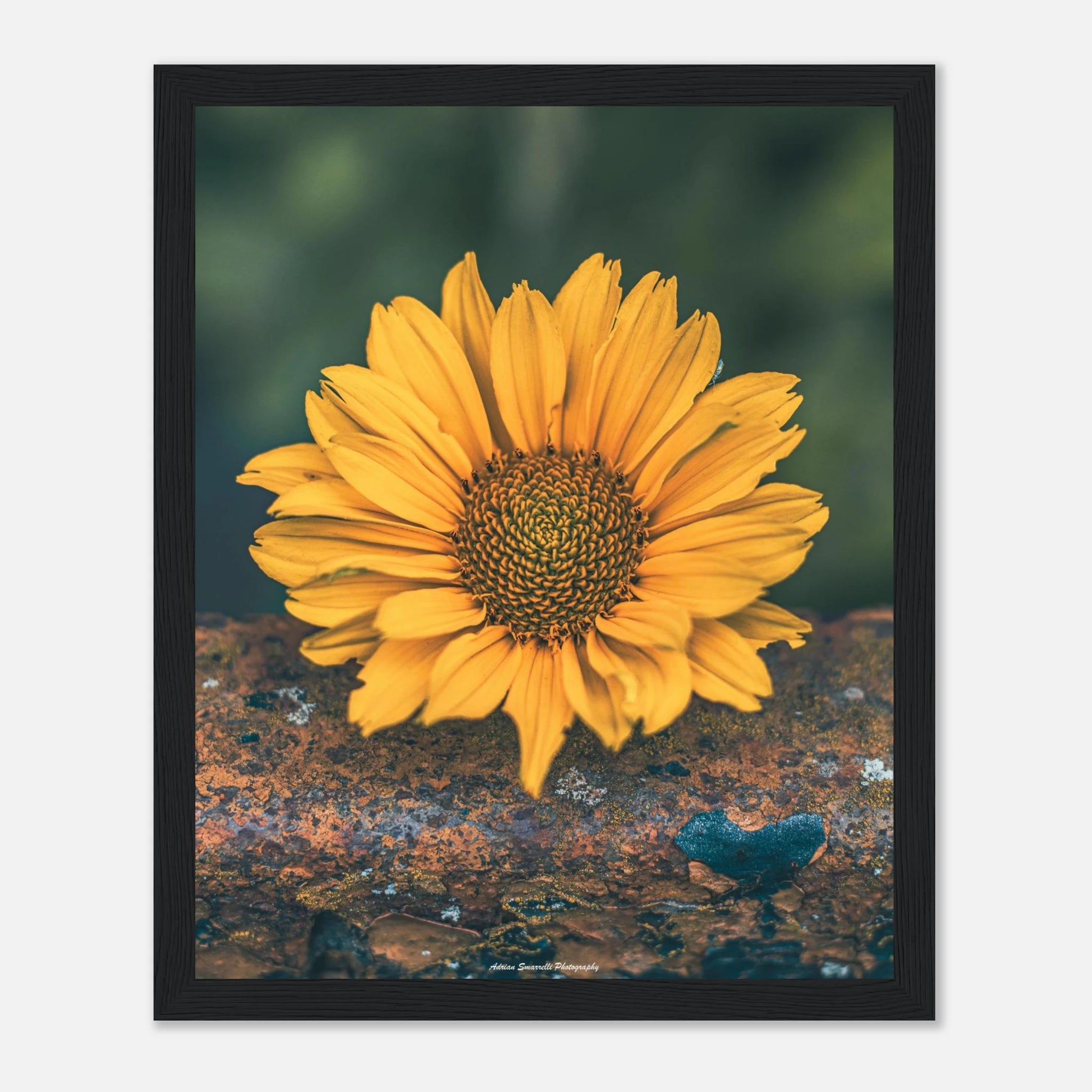 0b93e4c5-ce28-49f0-88ac-f201c5d30e40