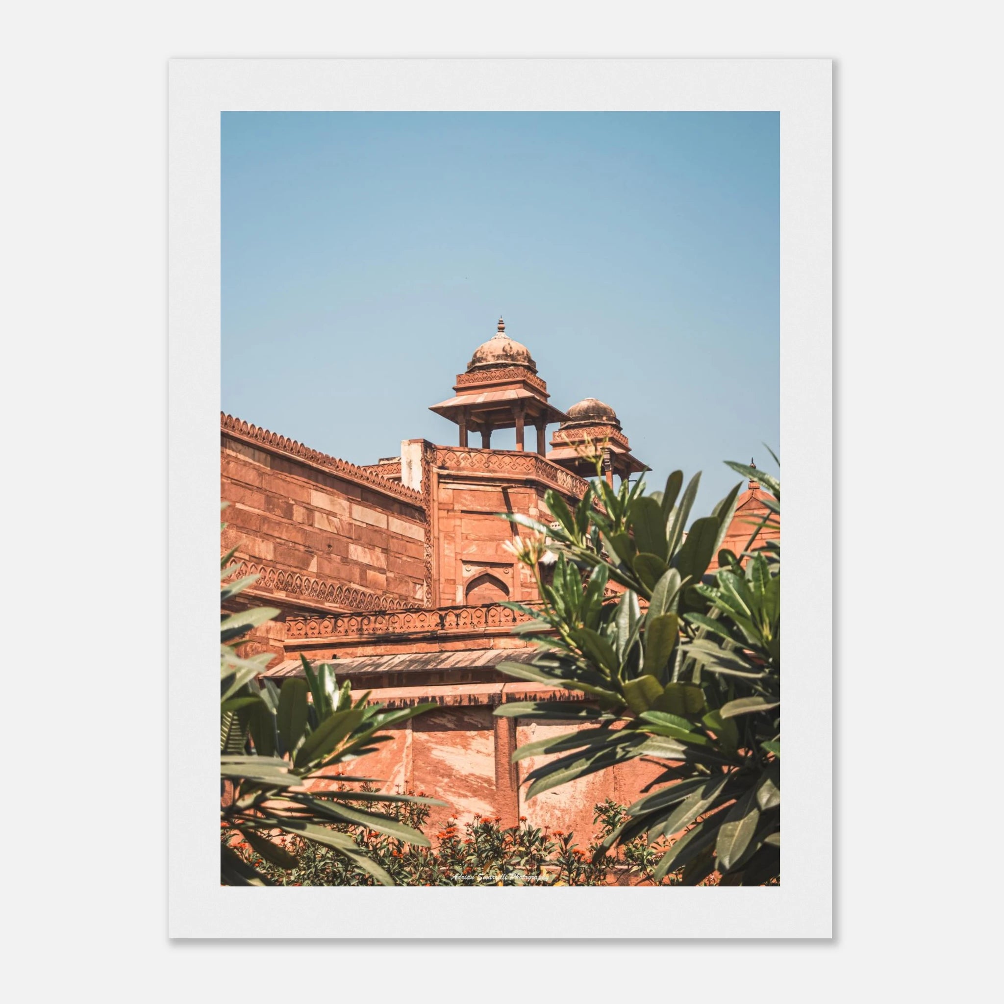 0c3f14d5-5f22-4f19-a713-defc0f3551f9