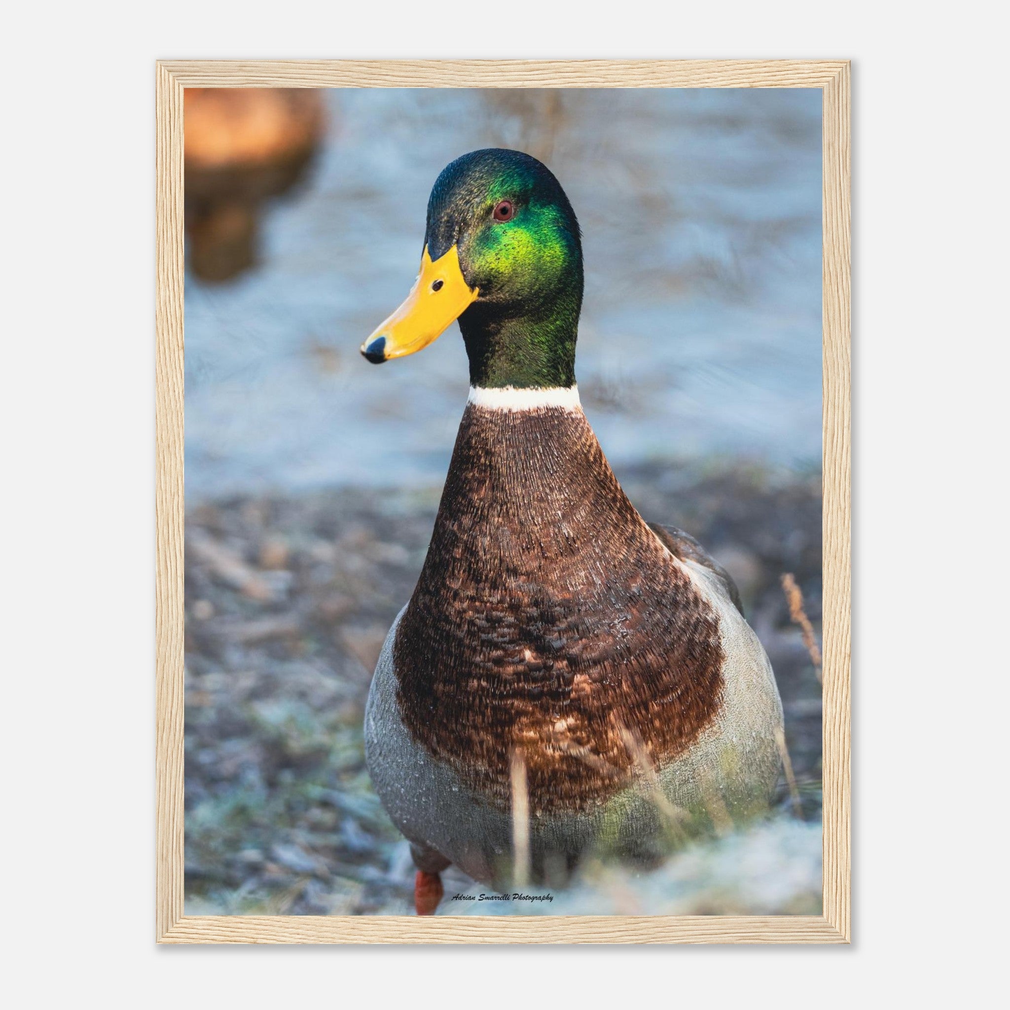 0c5d9c0c-ea96-483c-97f1-e08e02fe51b6