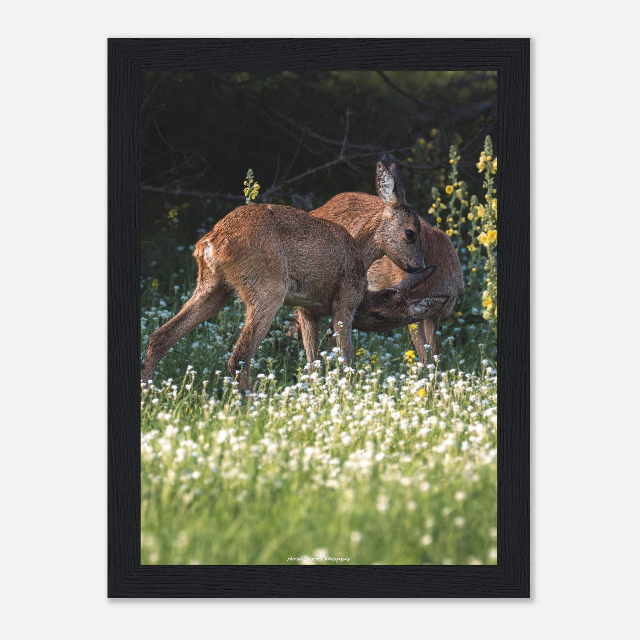 0da65dc9-db08-4c75-a450-0adf5a4ff46f