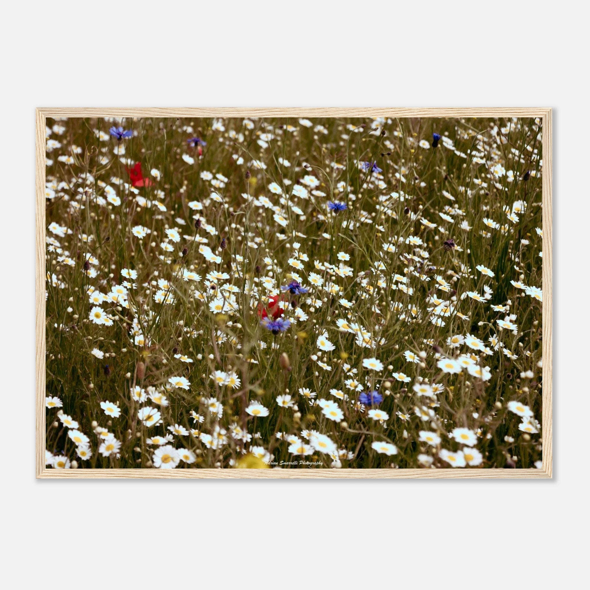 0f28bf1f-6800-46e2-80e9-ae545a5cc2f1