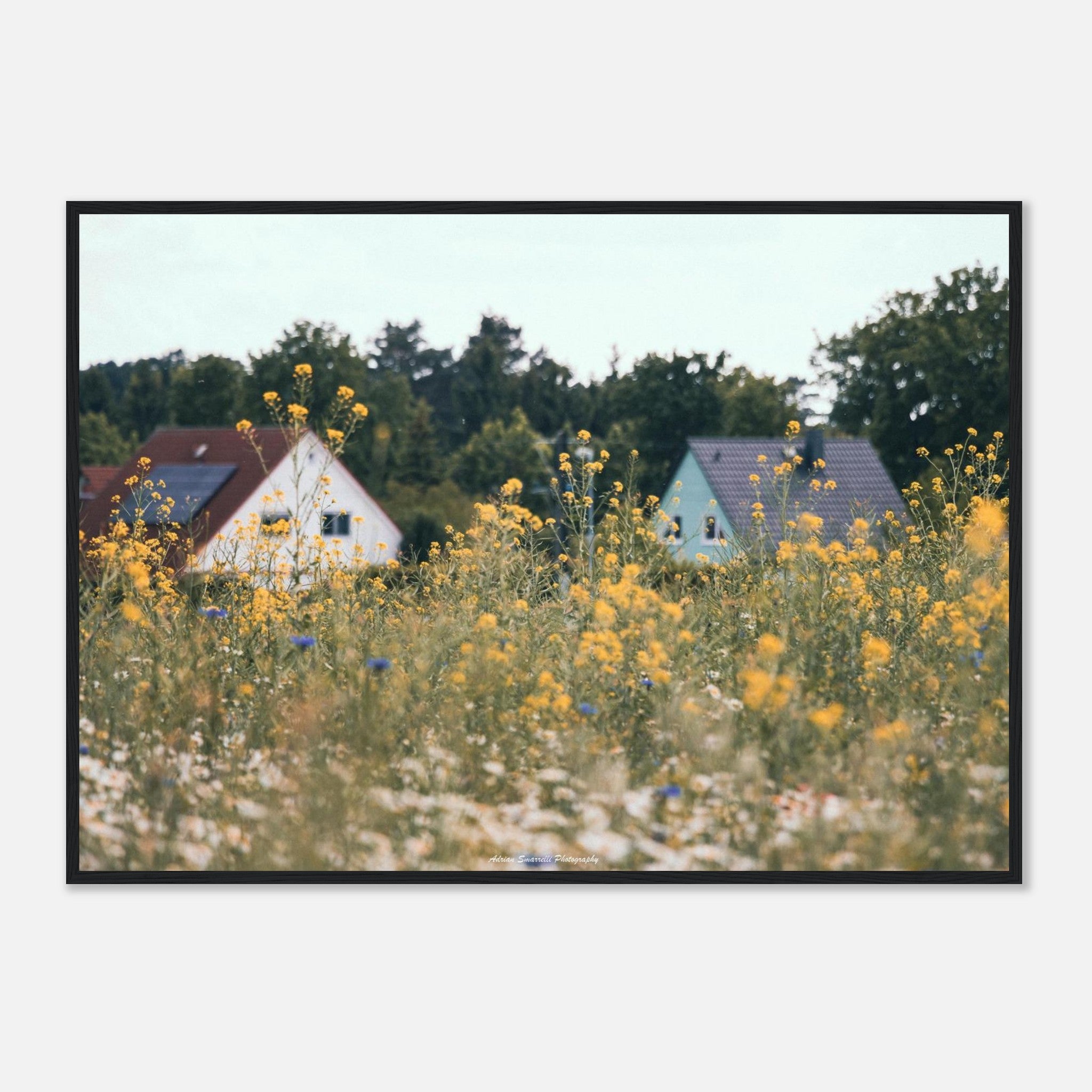 0f8b9bb0-c817-4058-a041-b07f0fe19539