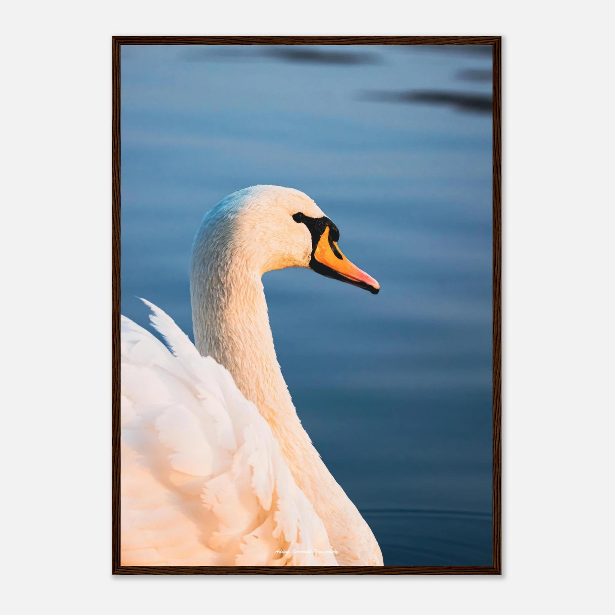 0fdee5e3-6c15-42c0-917a-fda53a2973df