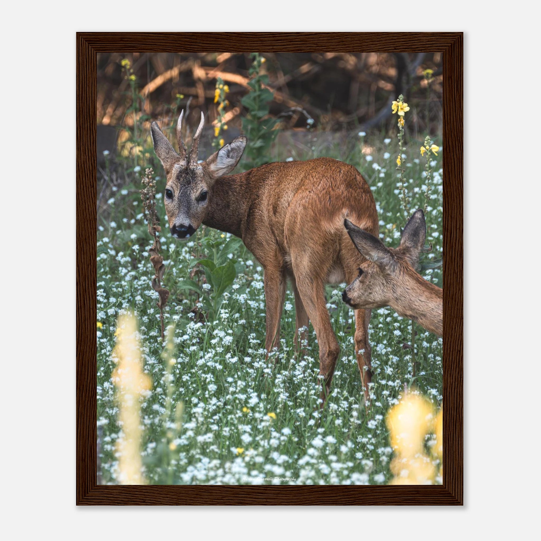 10d15871-bf5f-4e28-8411-c73ea0aeccc1