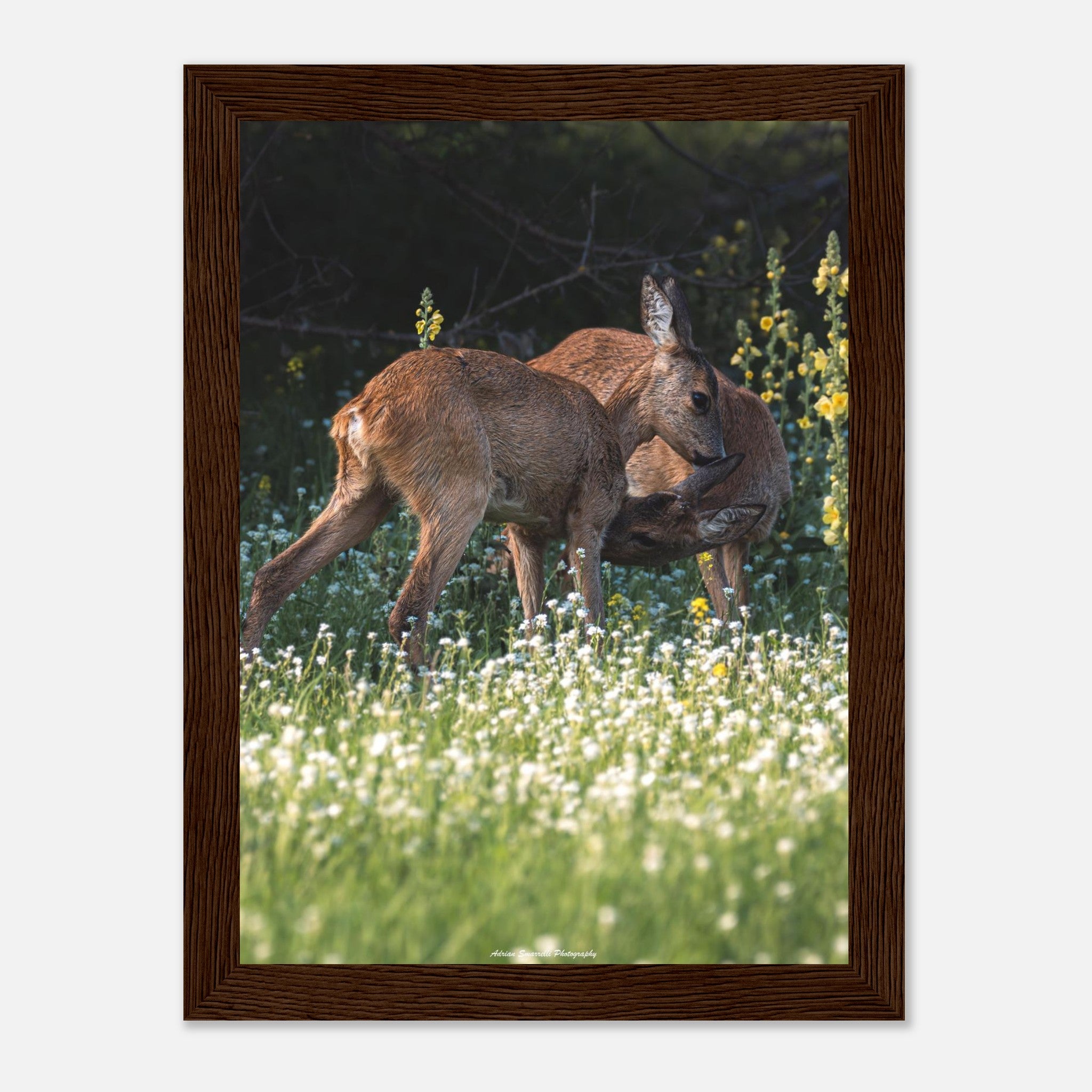 115ec59b-42fd-4e39-a5a5-8d869986a147