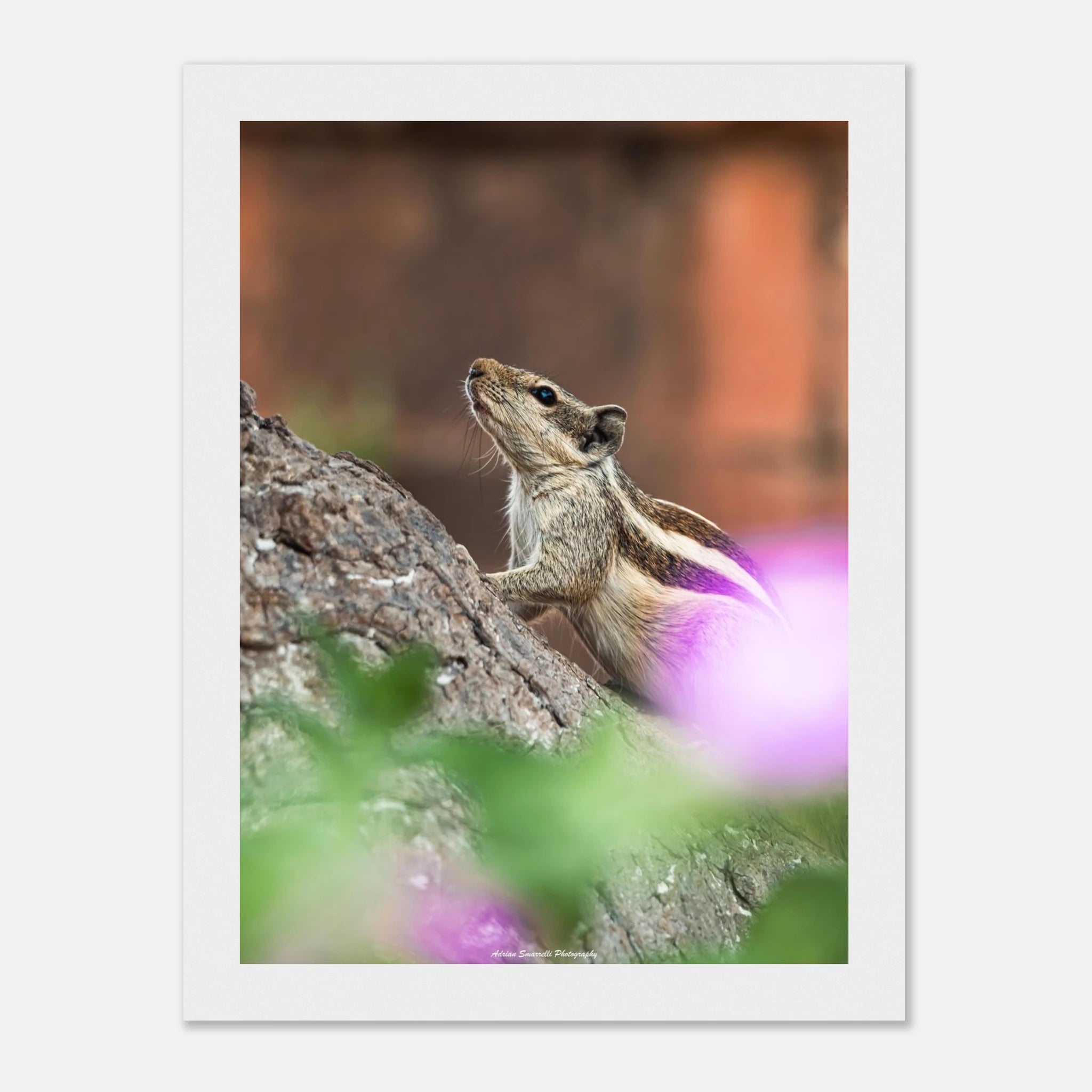 12f2ecdf-8a2d-49e7-bb68-dd23898d1f00