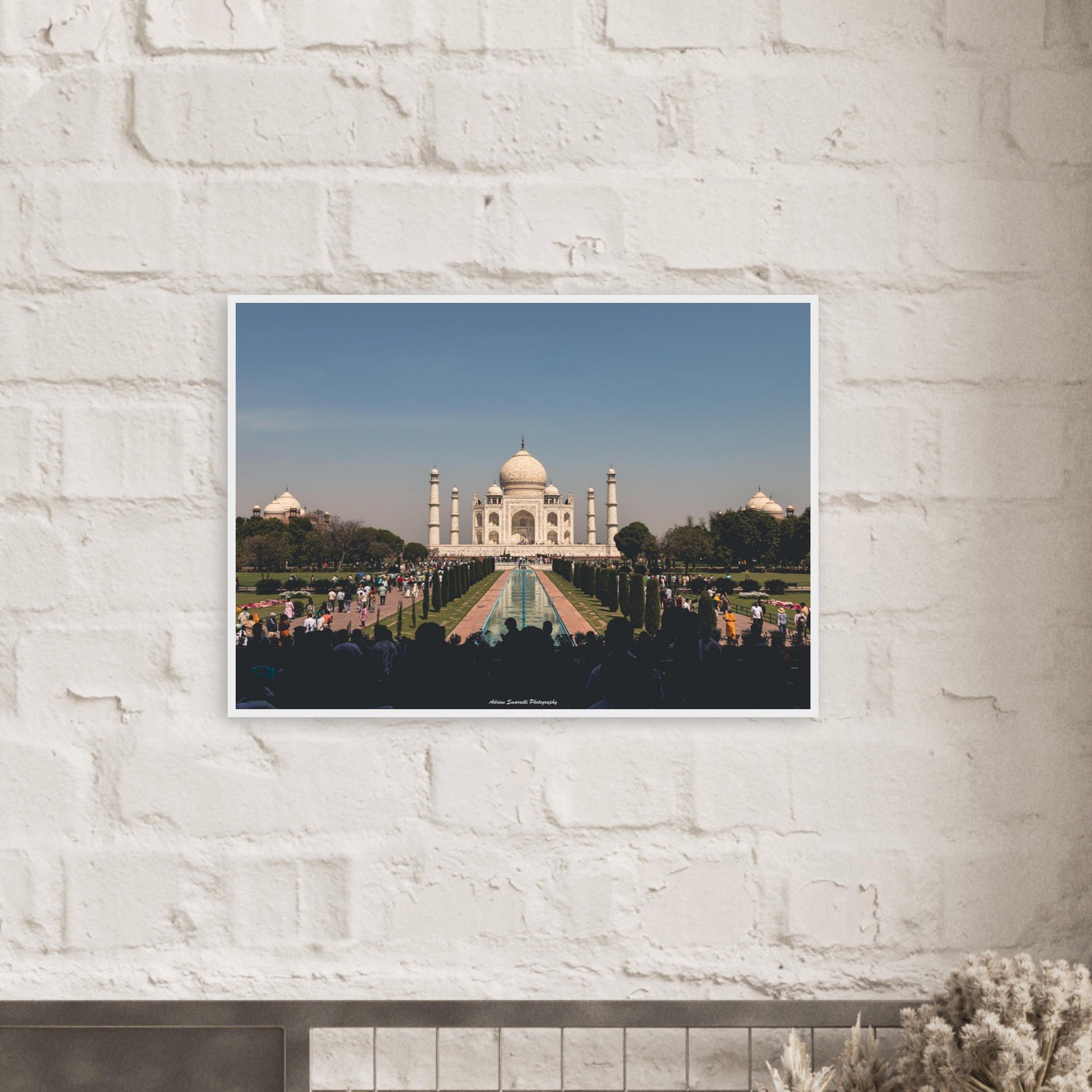 137b09c5-e7f2-4a00-8281-2c77bffa6153