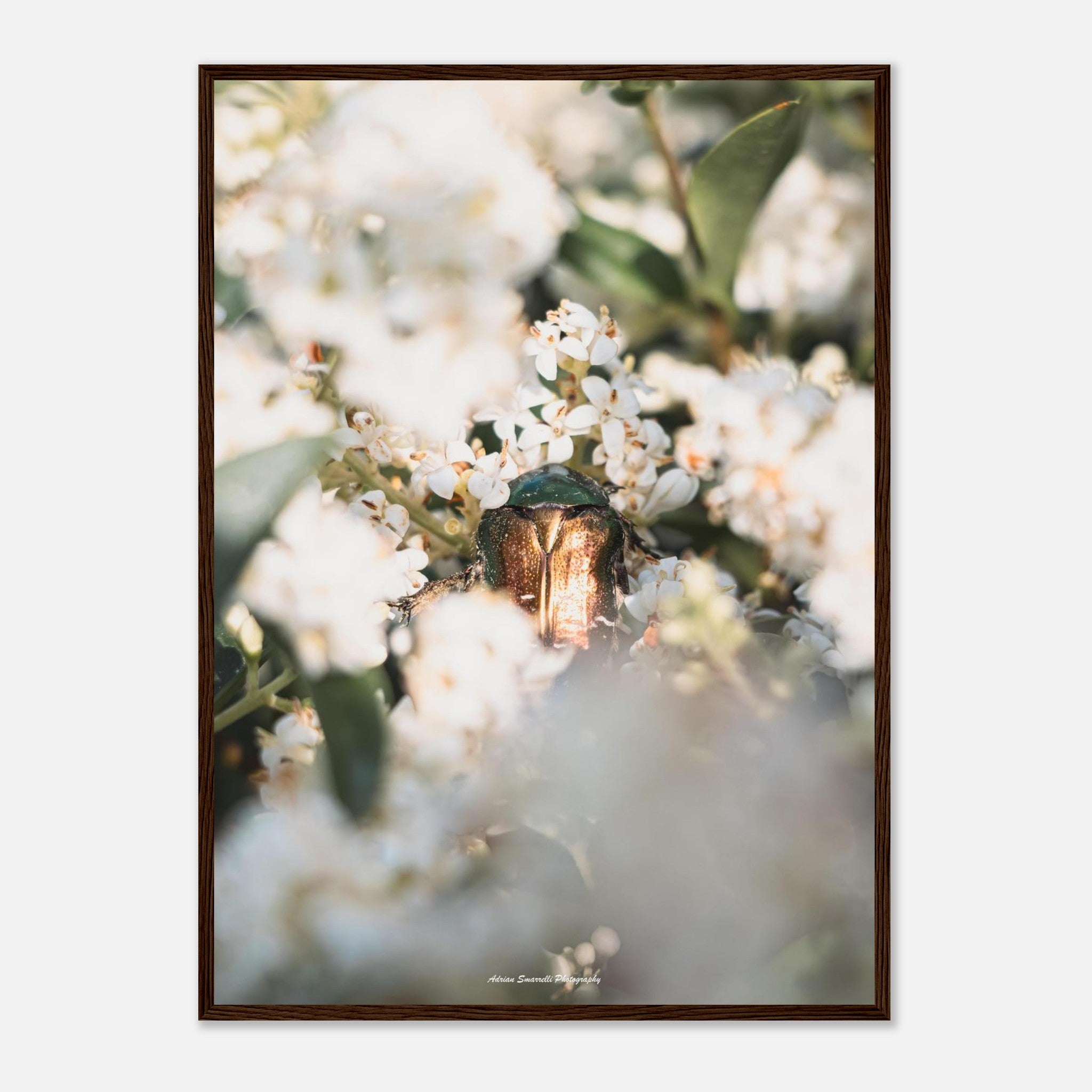 14a2c5b2-0508-48c4-a0a8-31c2c9f42aec