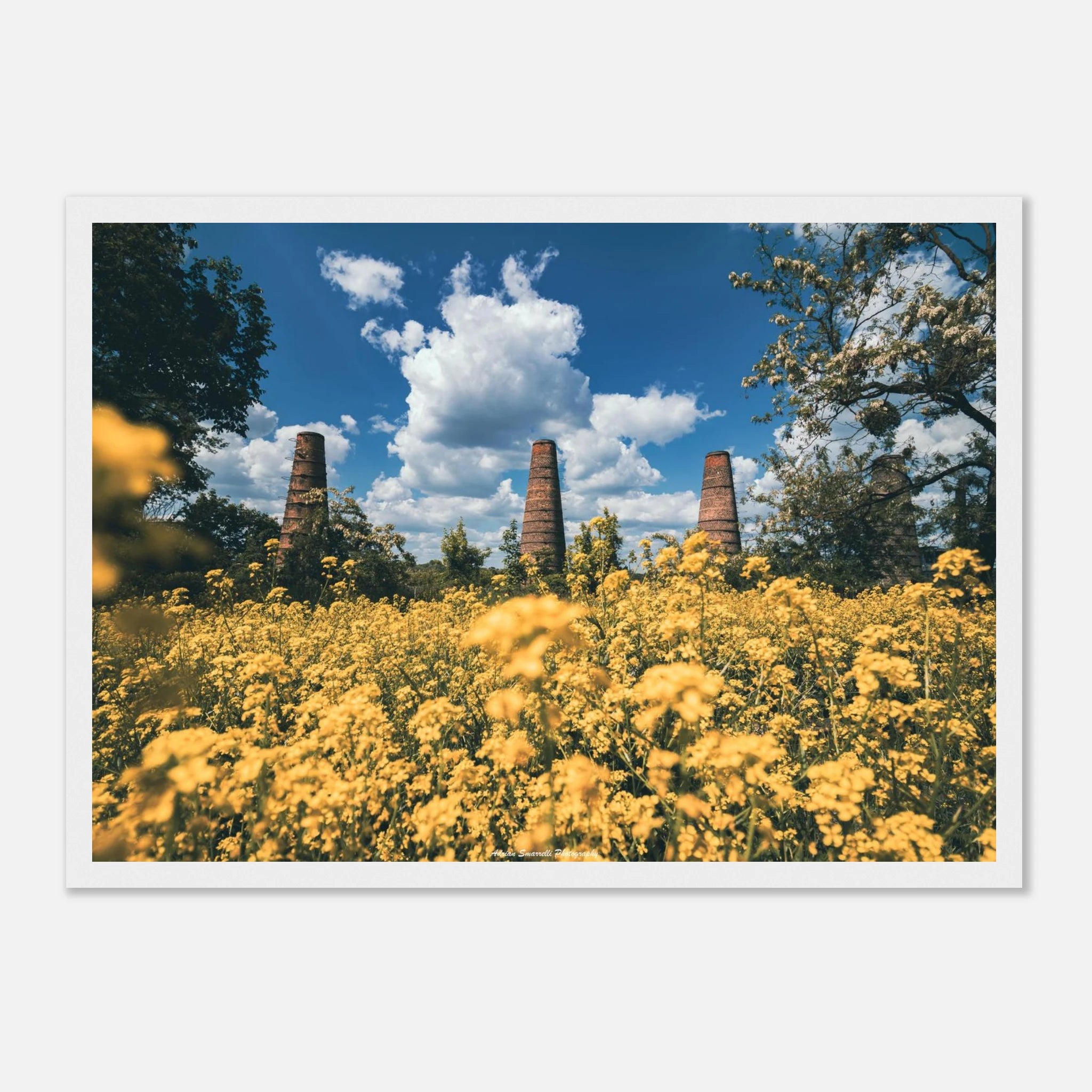 15a3fe4d-65fb-4097-8beb-3b1a6ae223e1