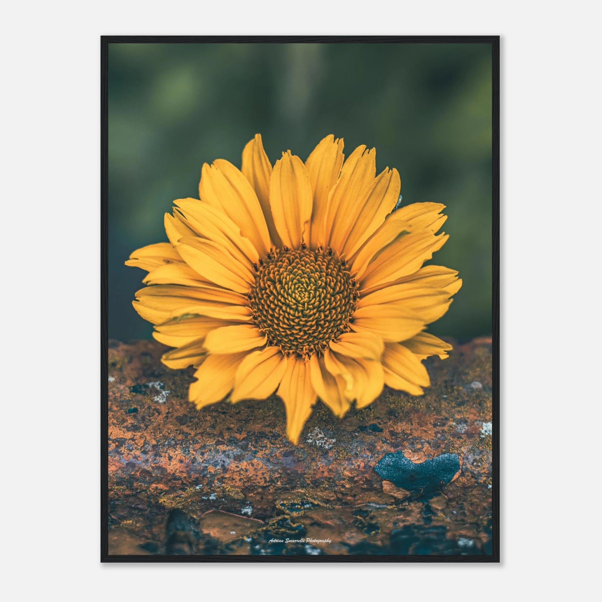 1656bede-dc71-4f39-94e2-2e782d8d68a4