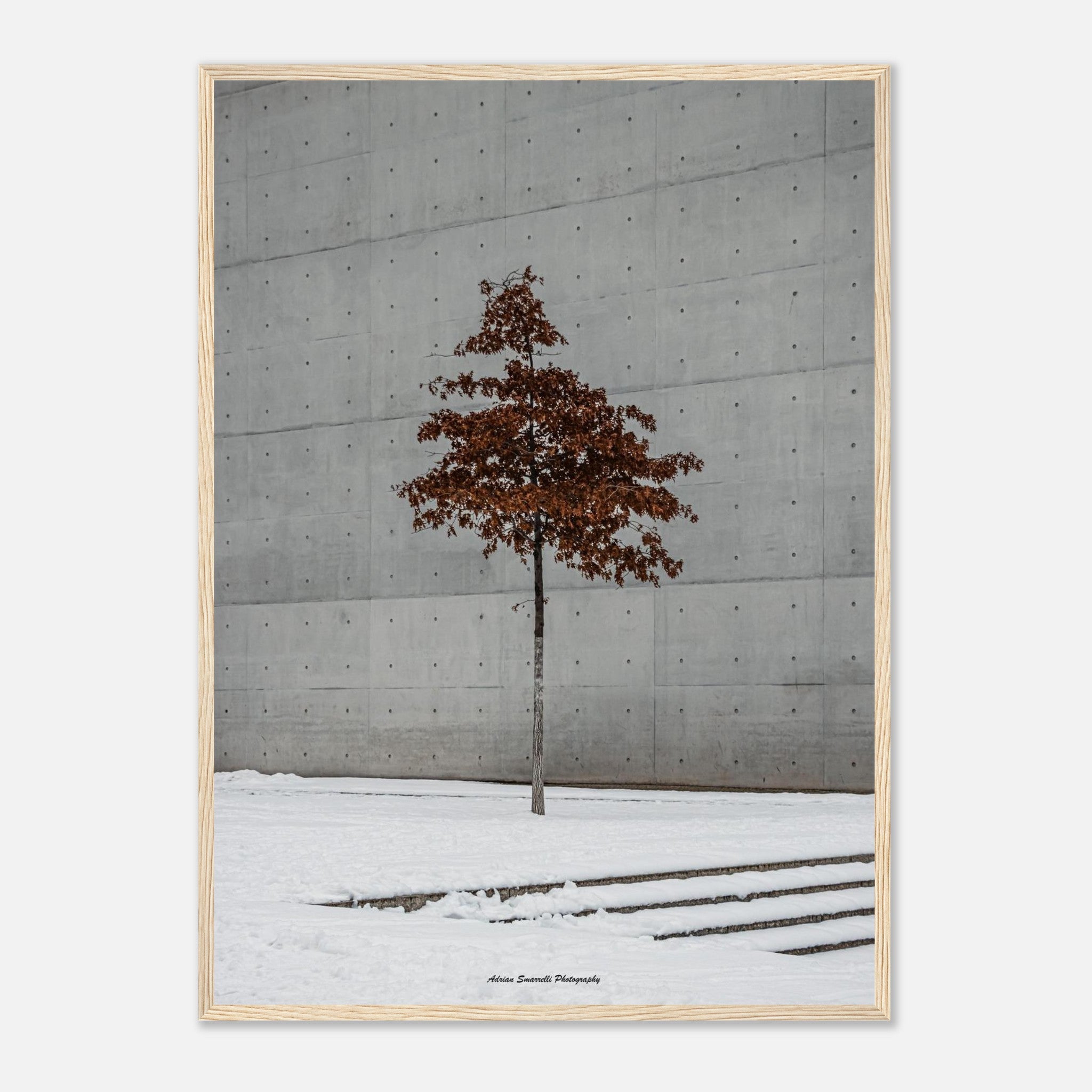 1672d7e4-f775-47de-9573-a75605a3d7ed