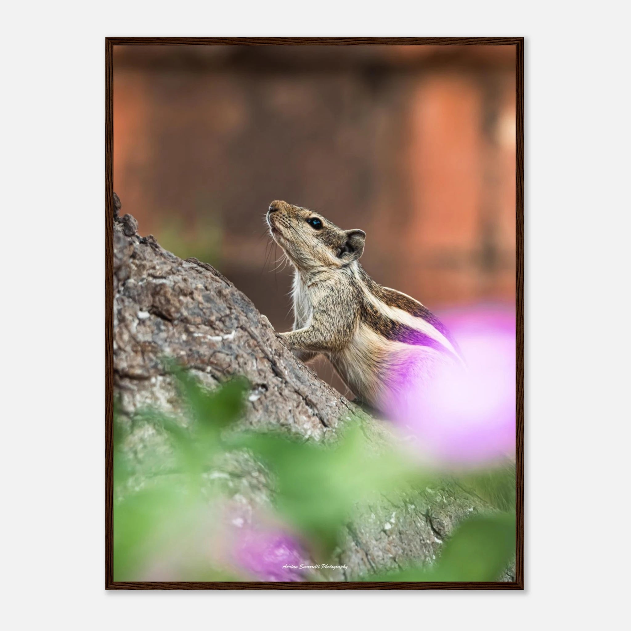 177216f9-0166-45ae-af42-106049b36fb1