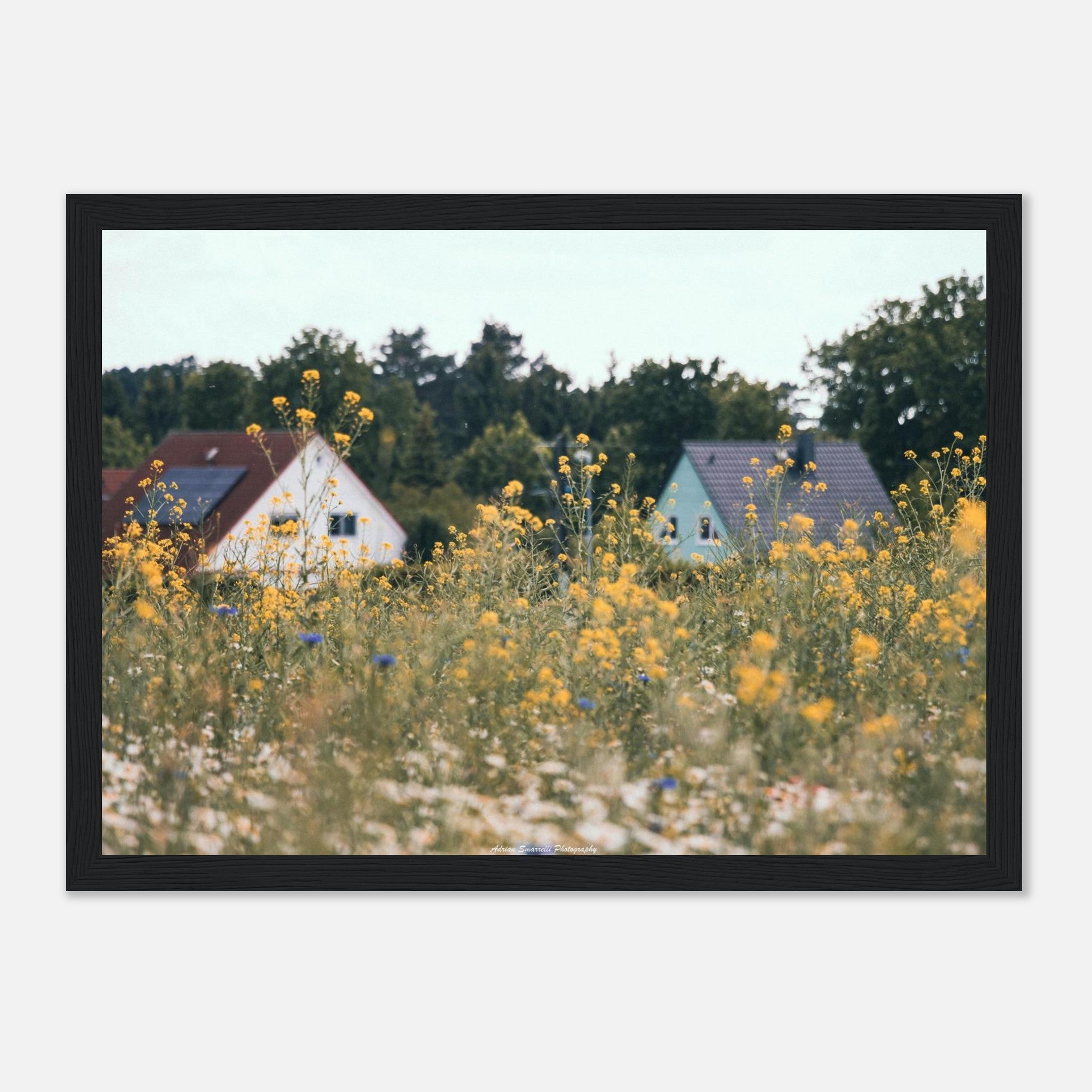 17834c46-32db-42aa-9dc2-6645280b58c4