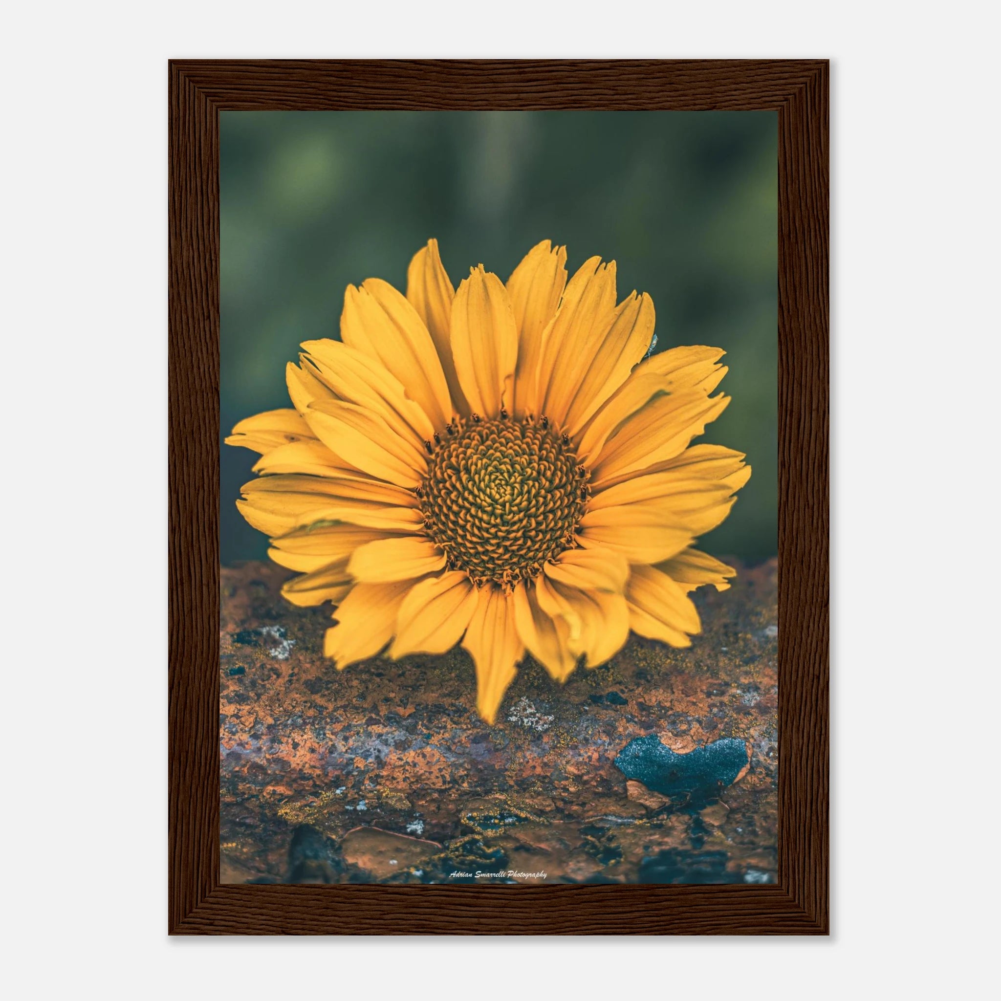 17f106a0-04c6-43c1-ba4f-5917f235a27e