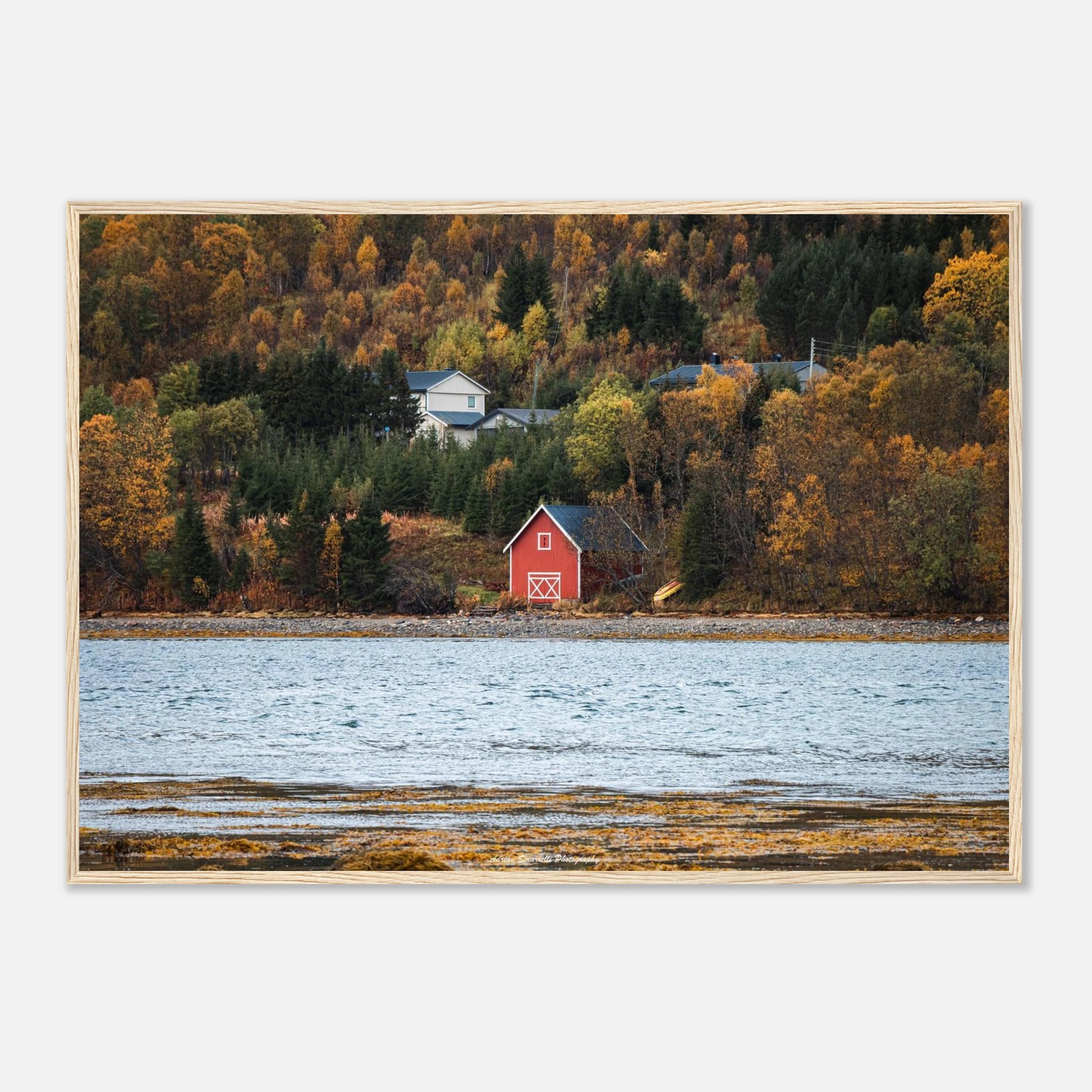 183f3336-c12f-499c-bc52-9e43b6d8a5cf