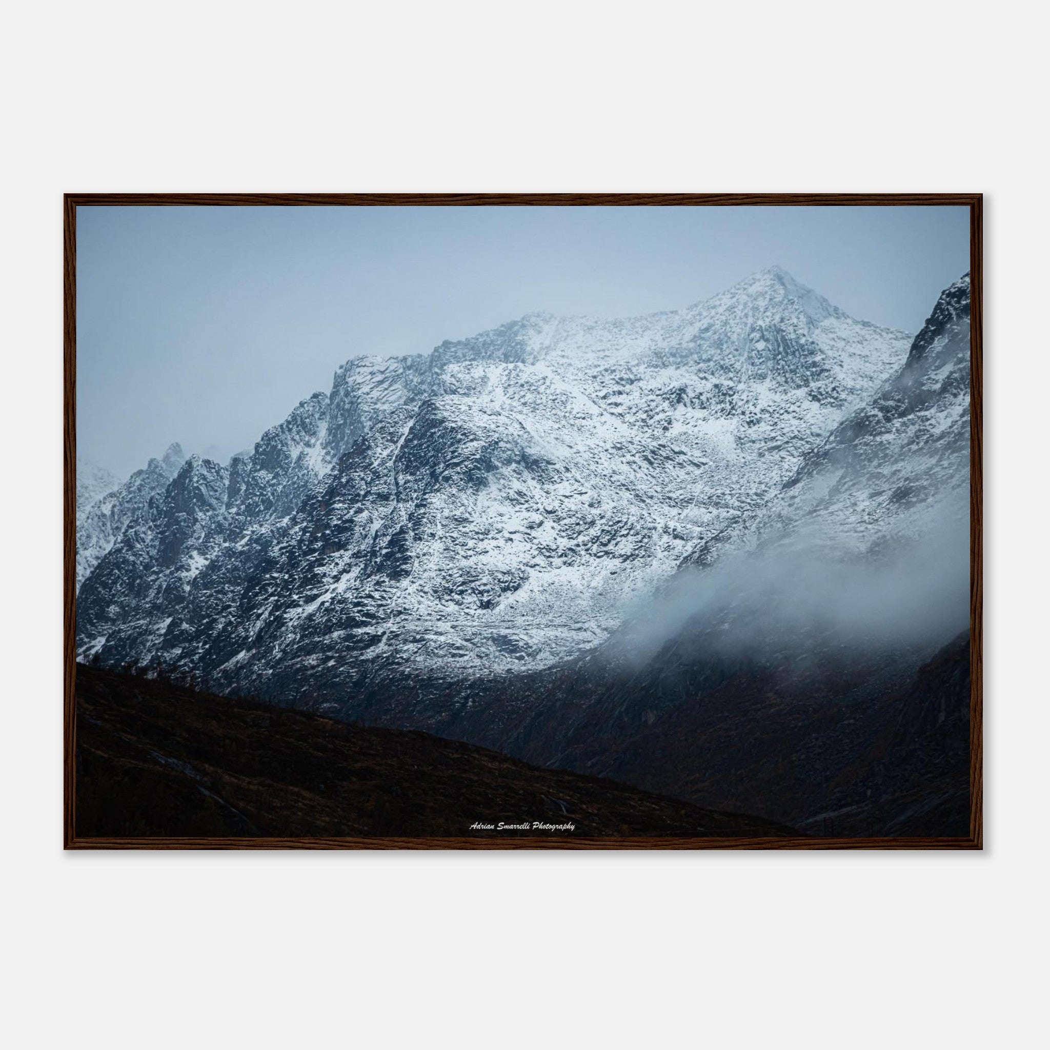 1901dfbb-d918-4163-9293-61421c7bae71