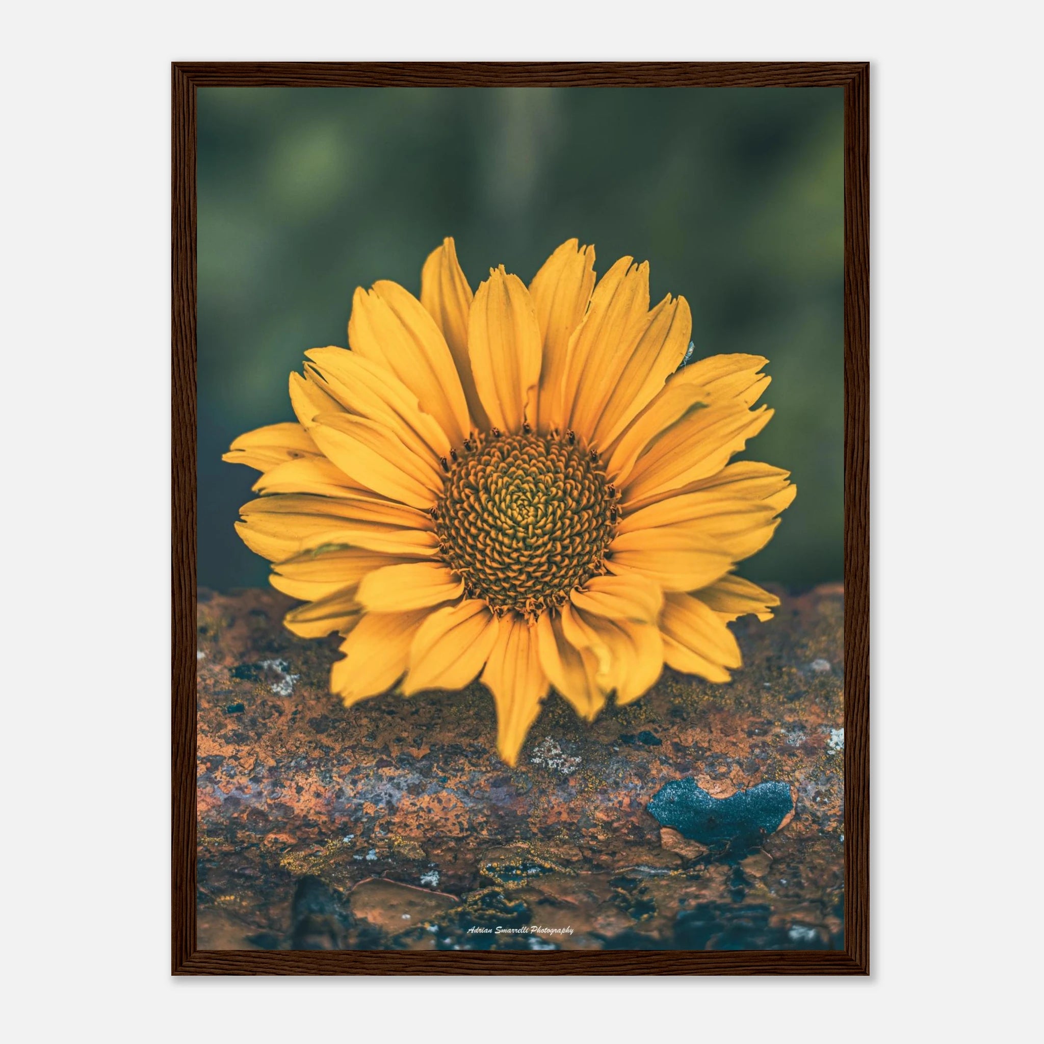 1a9c3f2a-7a6b-4647-812b-90cd1d7a45c4