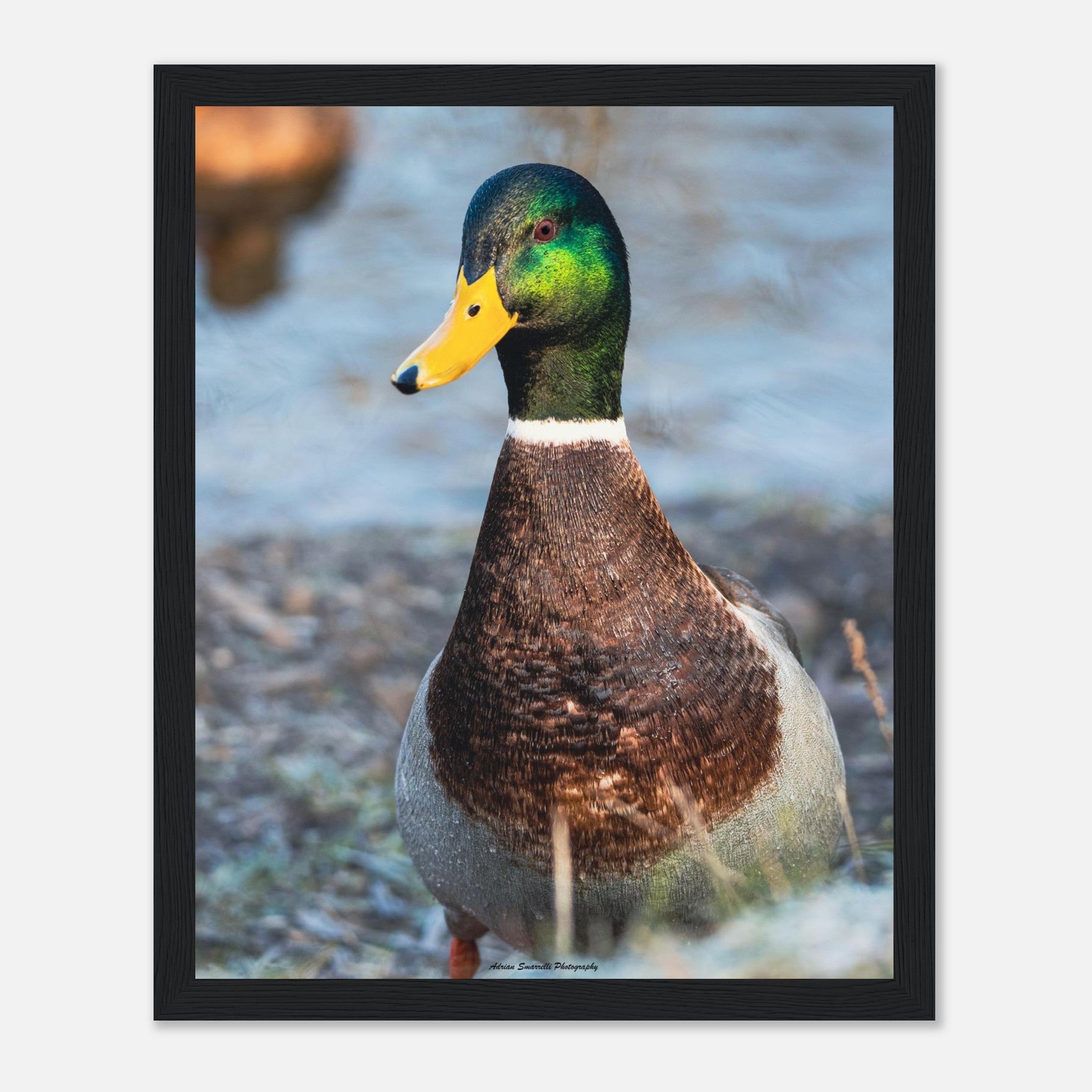 1aa594f2-5d23-43fb-873a-962fca599399