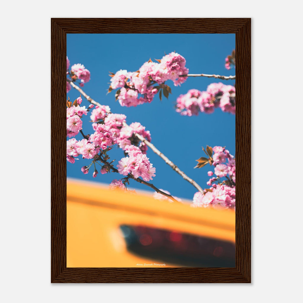 1aedbeae-775d-4442-bb6e-27d4082a4beb