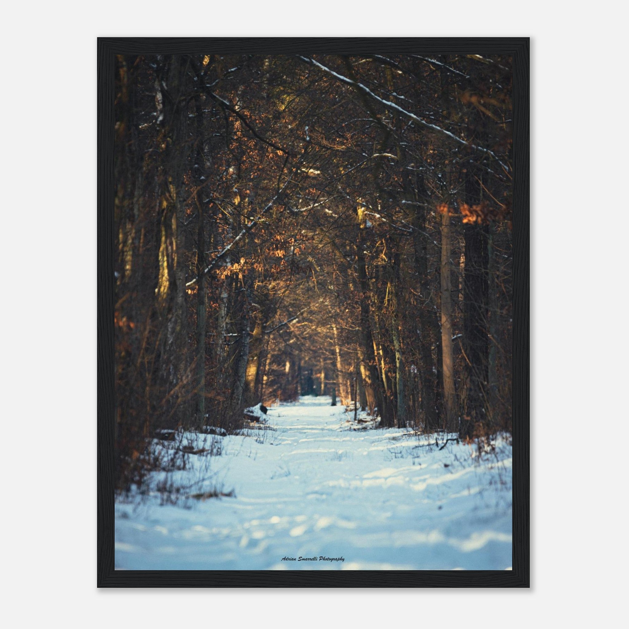 1bb4c68f-7cf2-440f-9374-8d8f610fa532