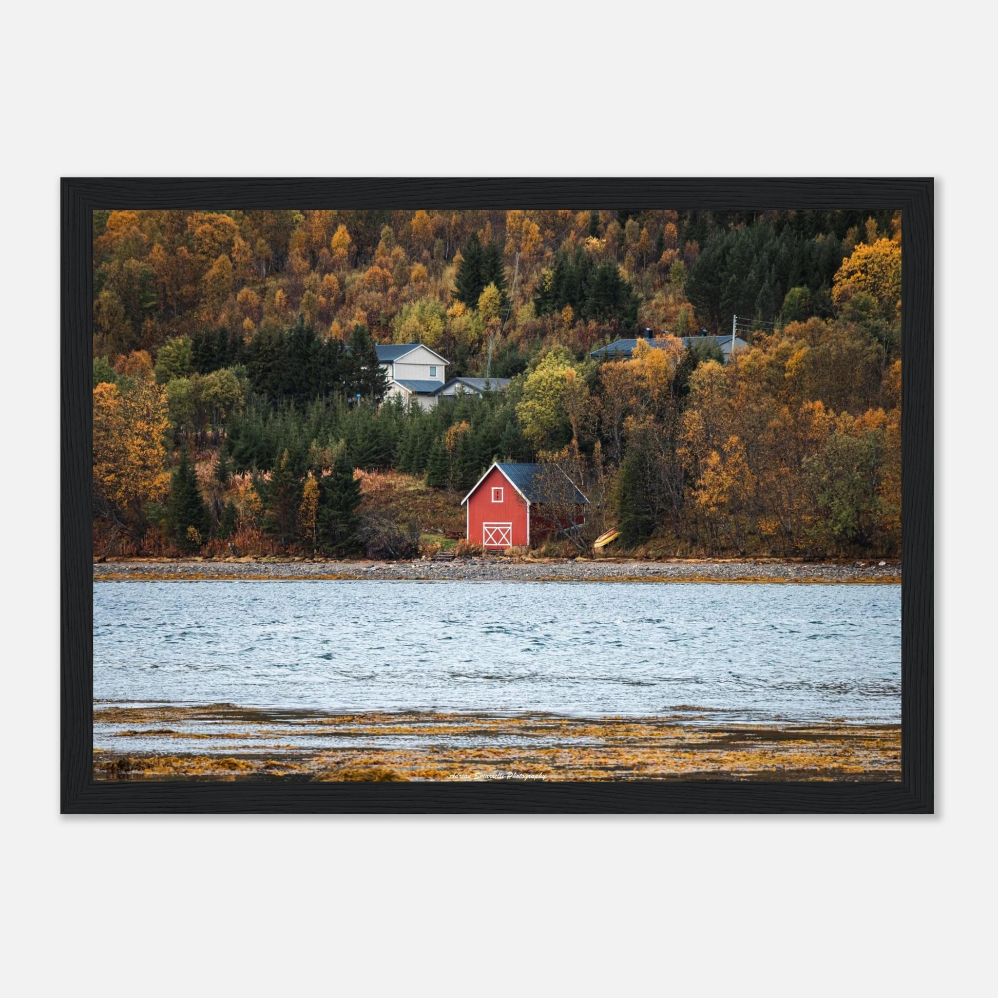 1c03abf7-c411-4716-ab15-a612f580946f