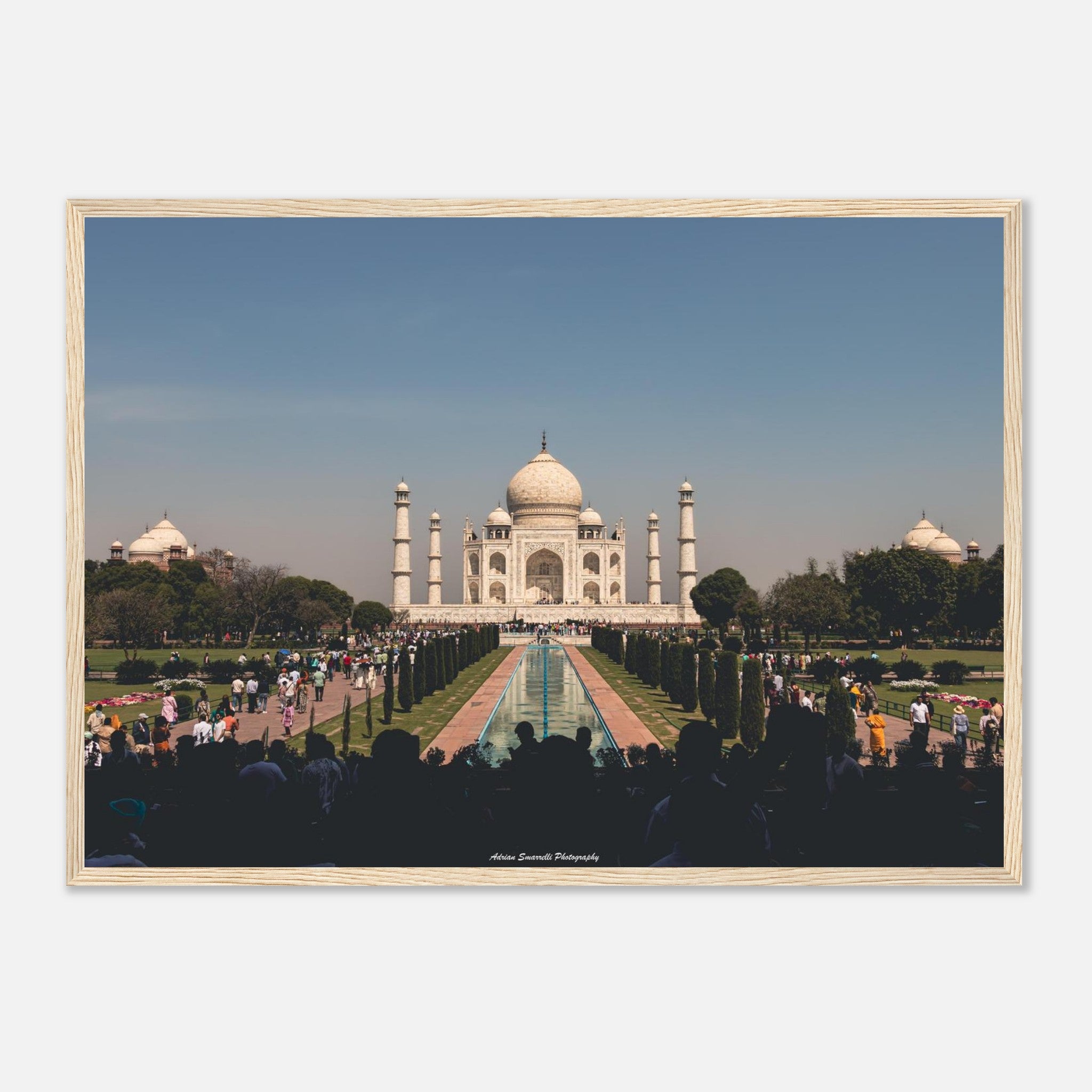 1c97a995-152a-42a2-8ee7-ab521a01df39