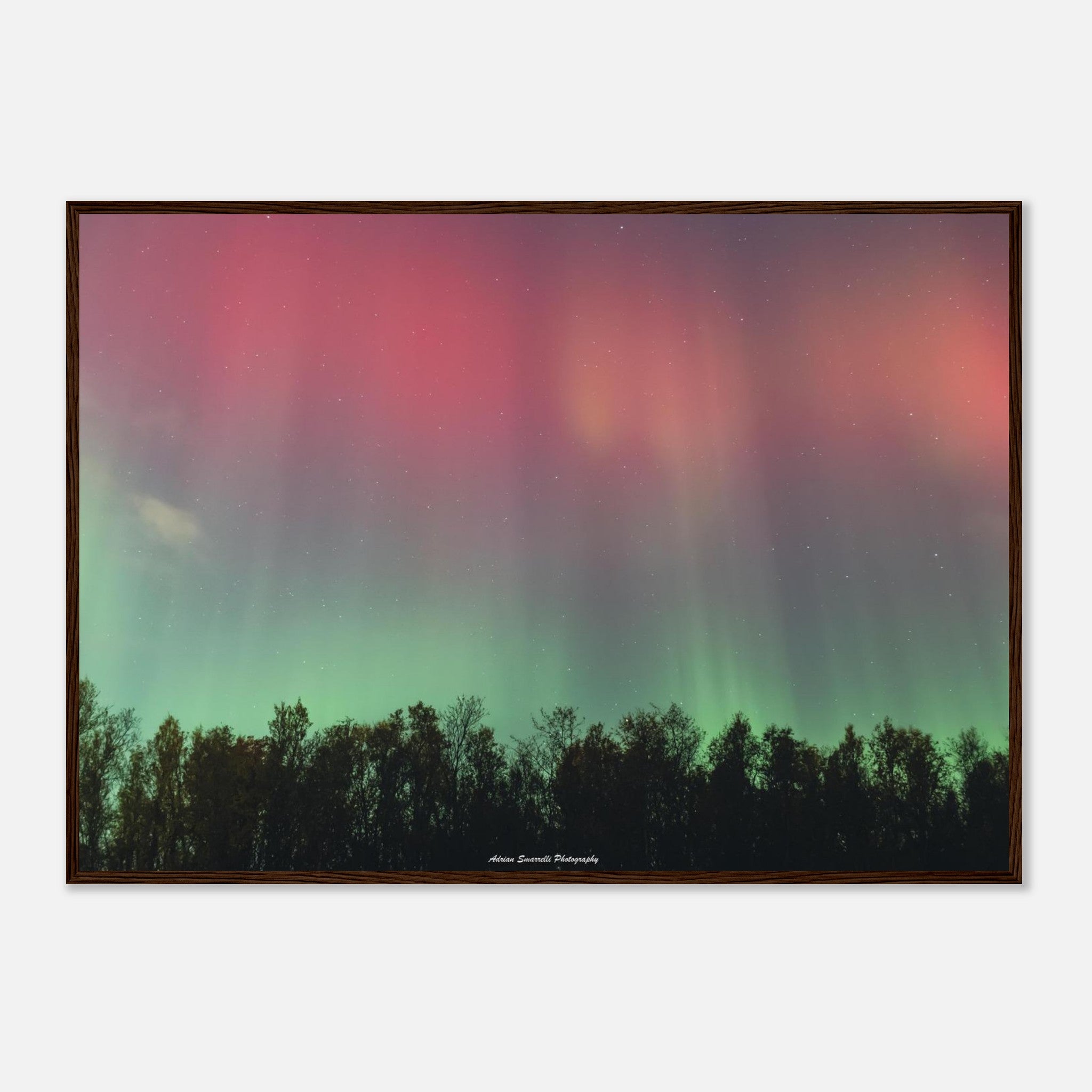 1e3919a7-1cca-4751-a5cf-243a88badd3f