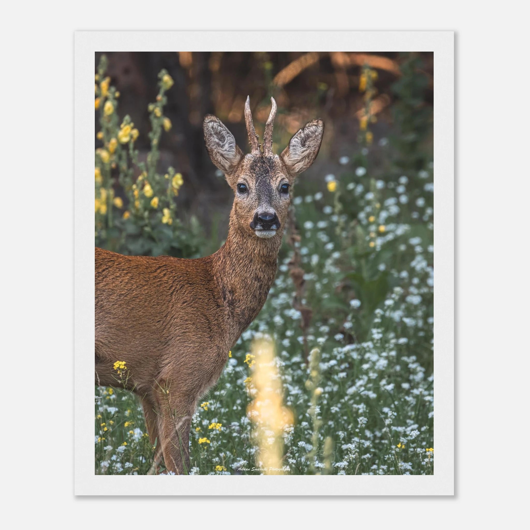 1f6b1b0f-a55d-498d-8bf1-7349544dad0d