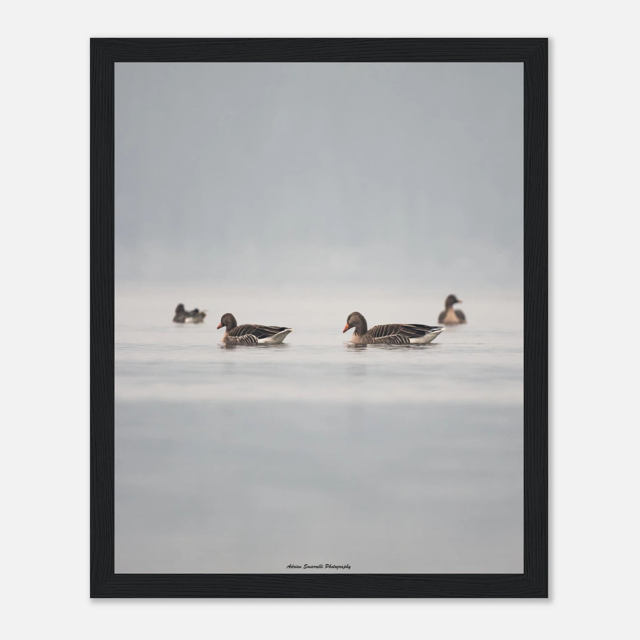 1f9a85dd-16b1-4f50-bf1f-b031885a80d7