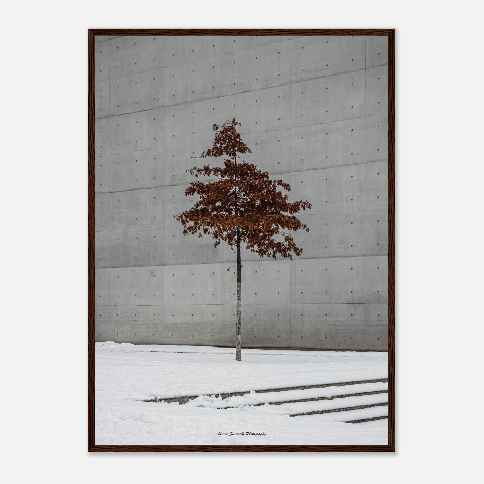 1f9e88b1-faed-4c56-9077-976740f07584