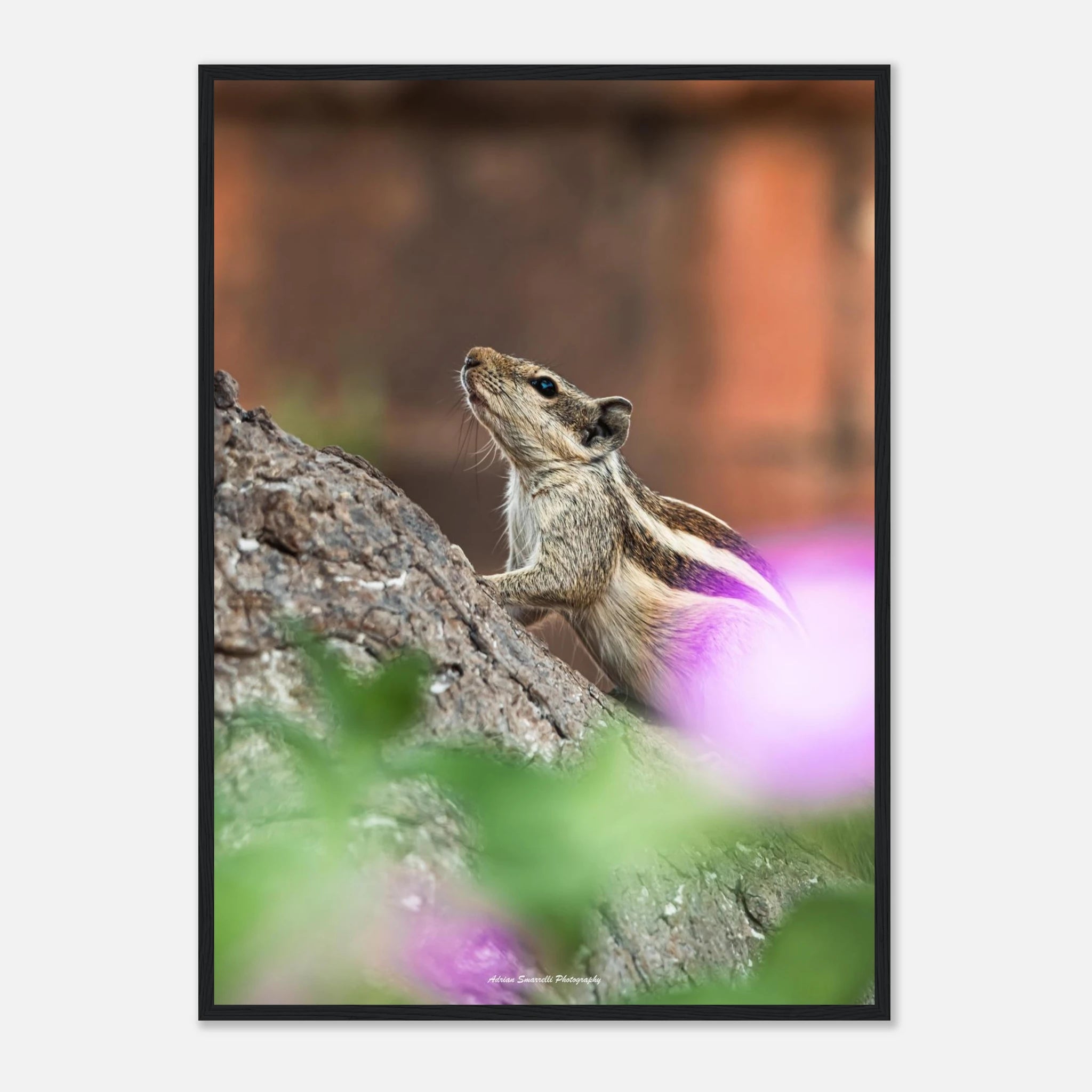 1fc31b8b-cc87-40a4-9617-a7d00762690a