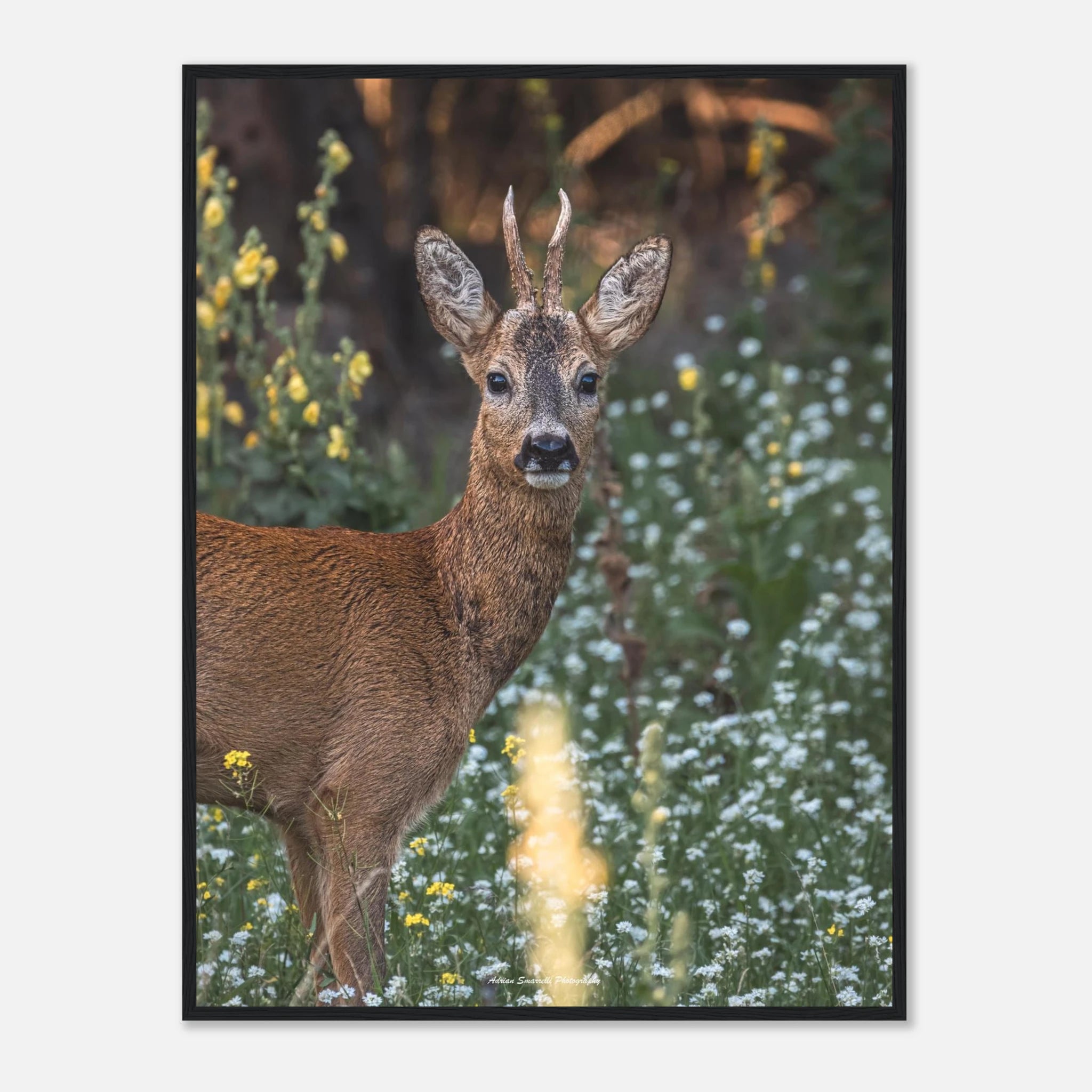 20421e80-4181-4cda-bb20-7fa58d1c4800