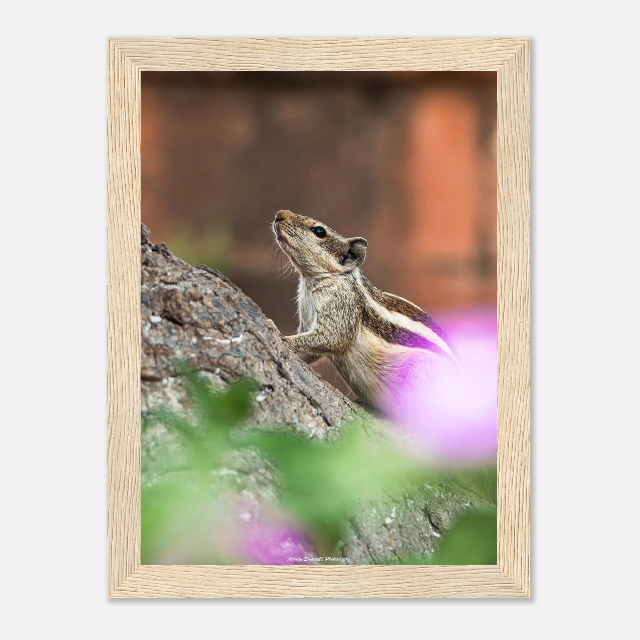 20c922c7-0cbd-43bb-9f56-f9011c559176