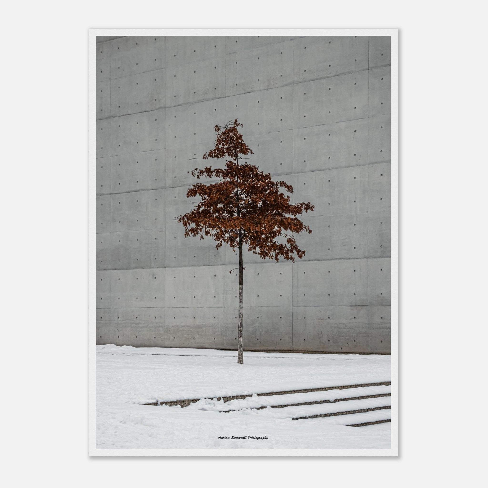 212a24b1-a52f-4d7c-a830-d9afd43499ee