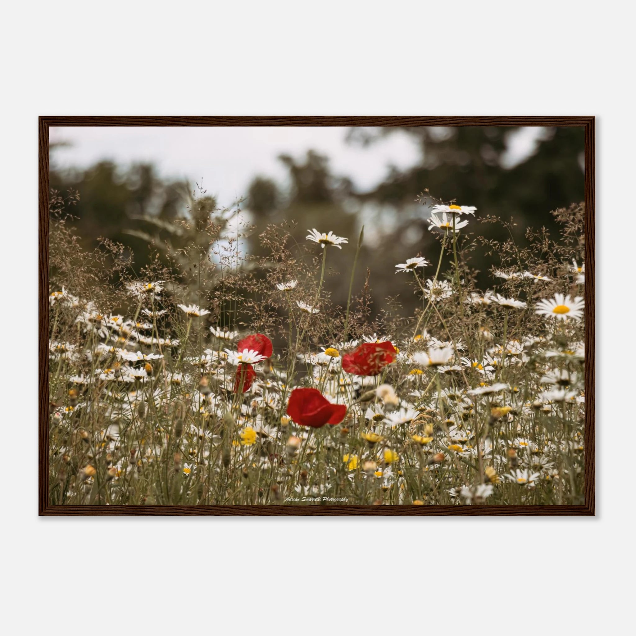 216015ec-f02c-447a-b4a6-b52ee534f4a0