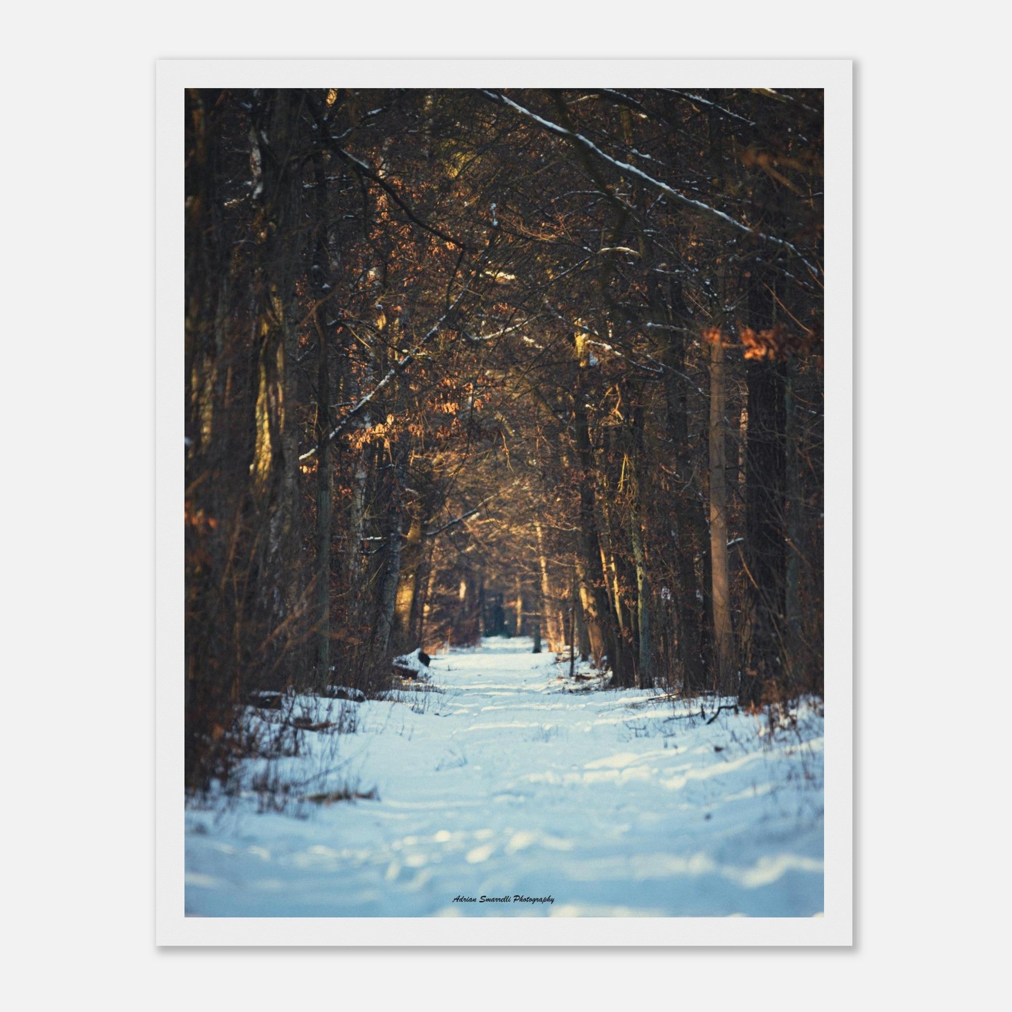 21853595-a600-40a6-9300-77ee568b3471