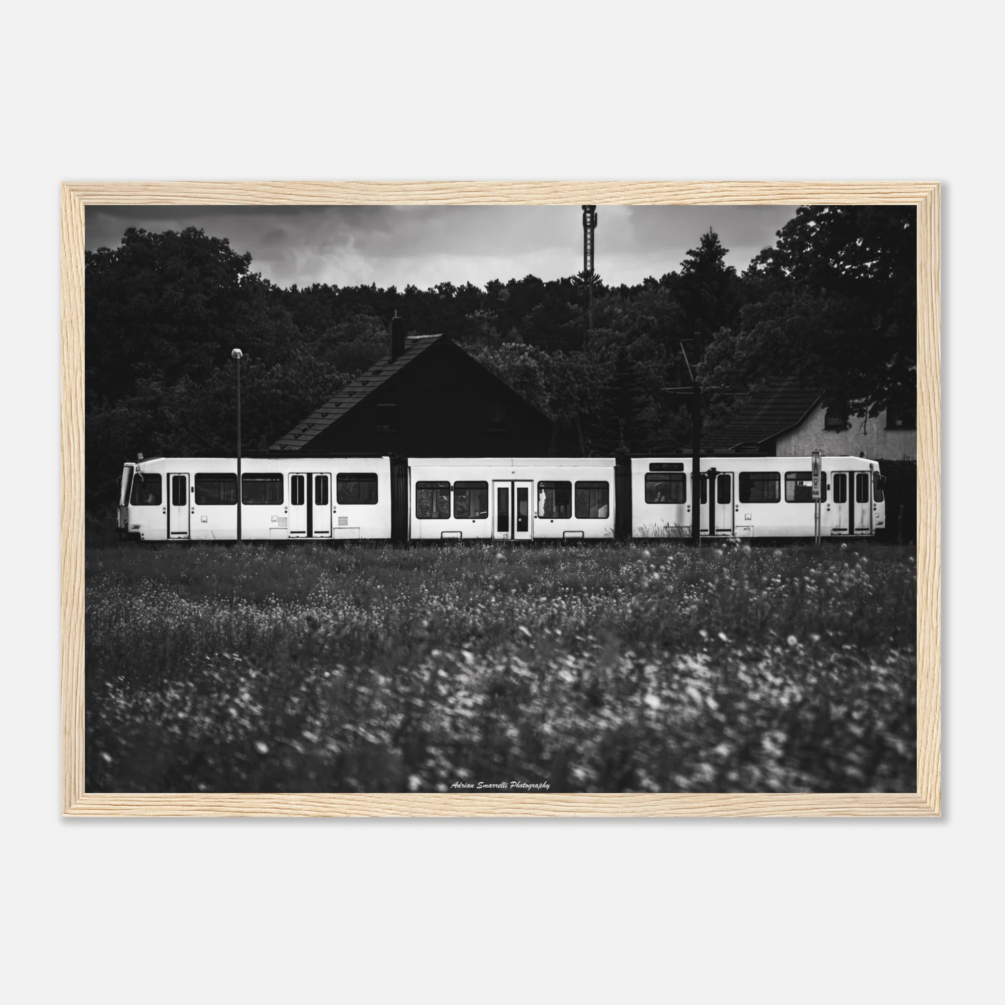 22ea8ab8-e8cb-4e9e-bcb2-4d94a9558d6b