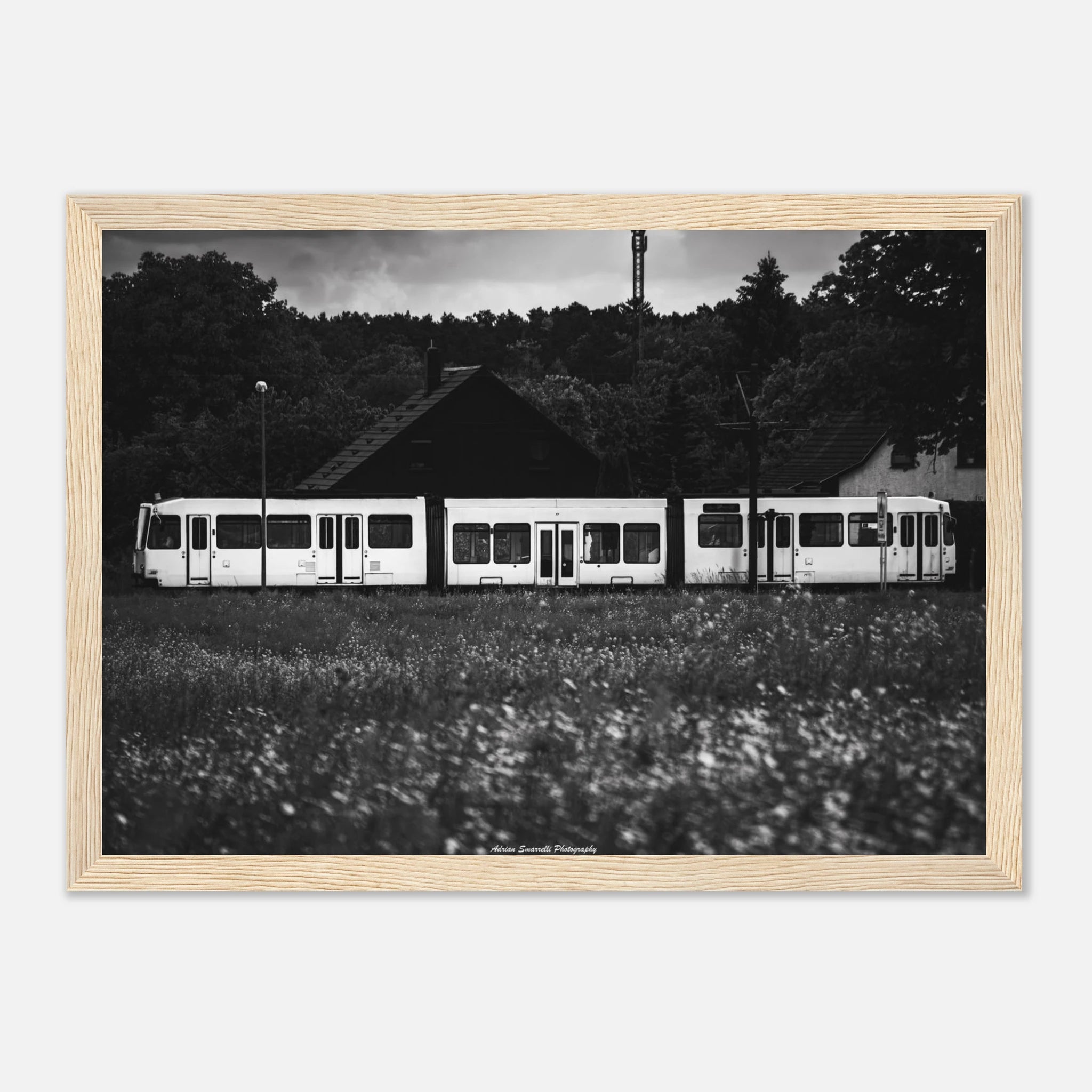 24c41d45-1257-4012-9e66-a42021cce12e