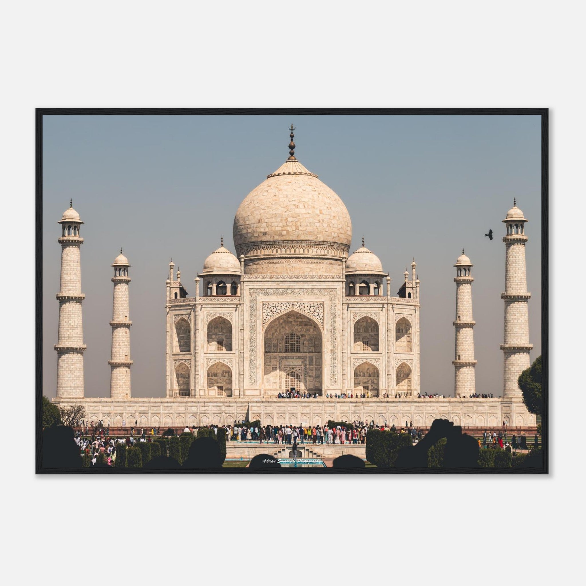 24f40724-ab6d-44dd-a16a-0d8b83caa2b9