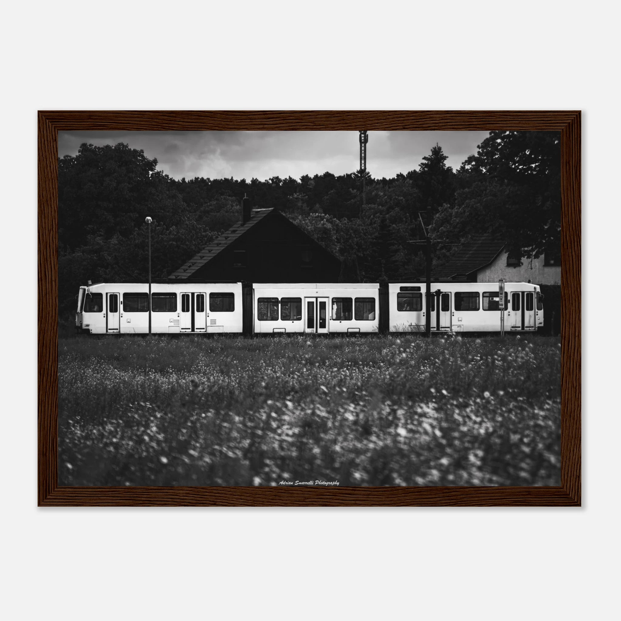 25712c6b-761f-4267-b830-23d2d440e298