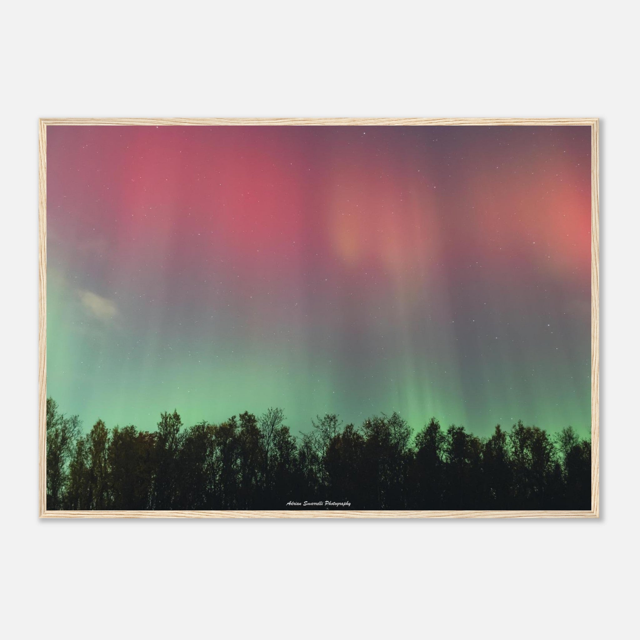 26662240-419e-40da-9f36-c08b98cebca2